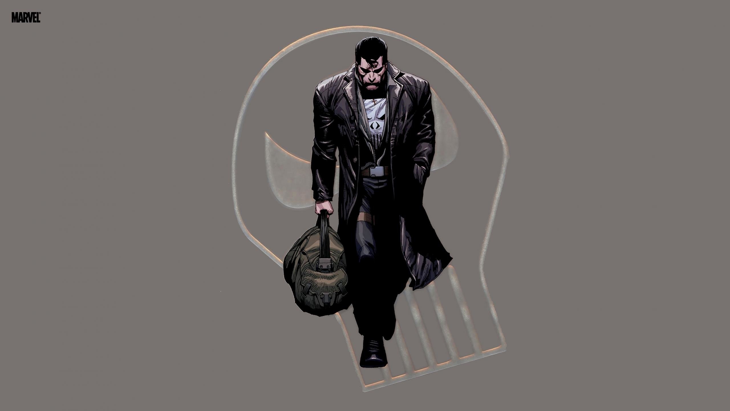 Download hd 2560x1440 The Punisher PC background ID:134663 for free