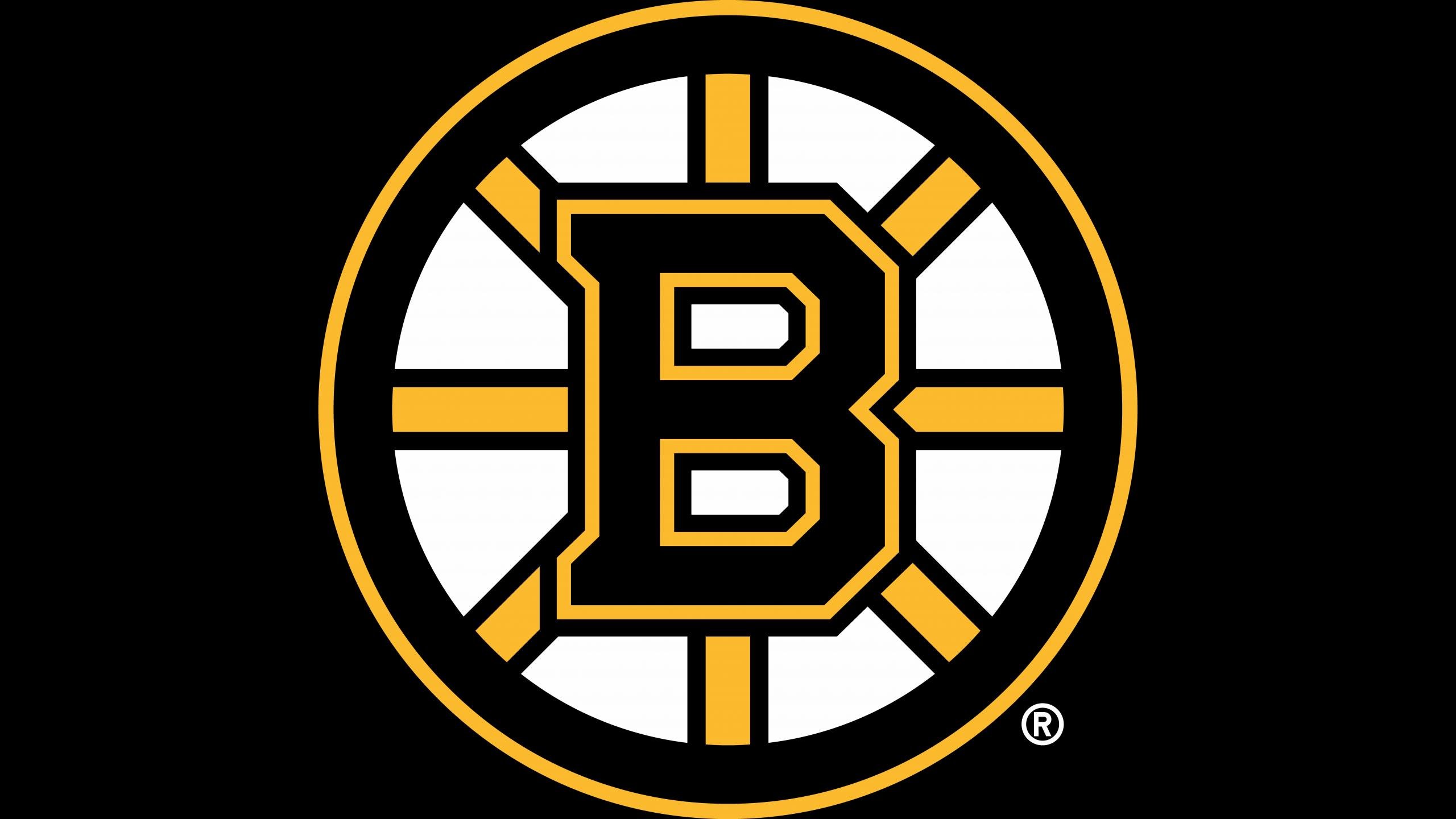 Best Boston Bruins wallpaper ID:334400 for High Resolution hd 2560x1440 computer