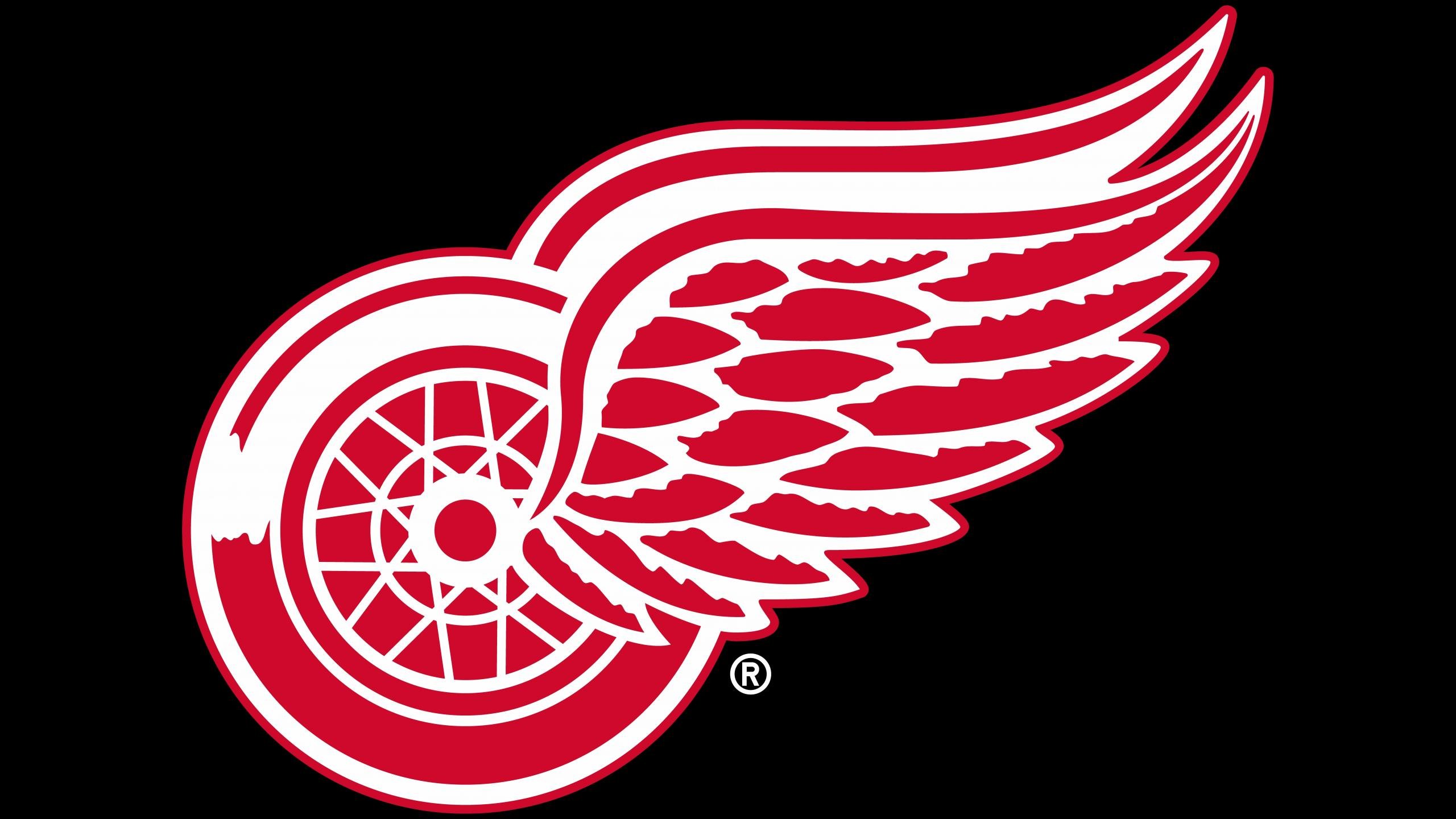 Download hd 2560x1440 Detroit Red Wings PC wallpaper ID:54640 for free