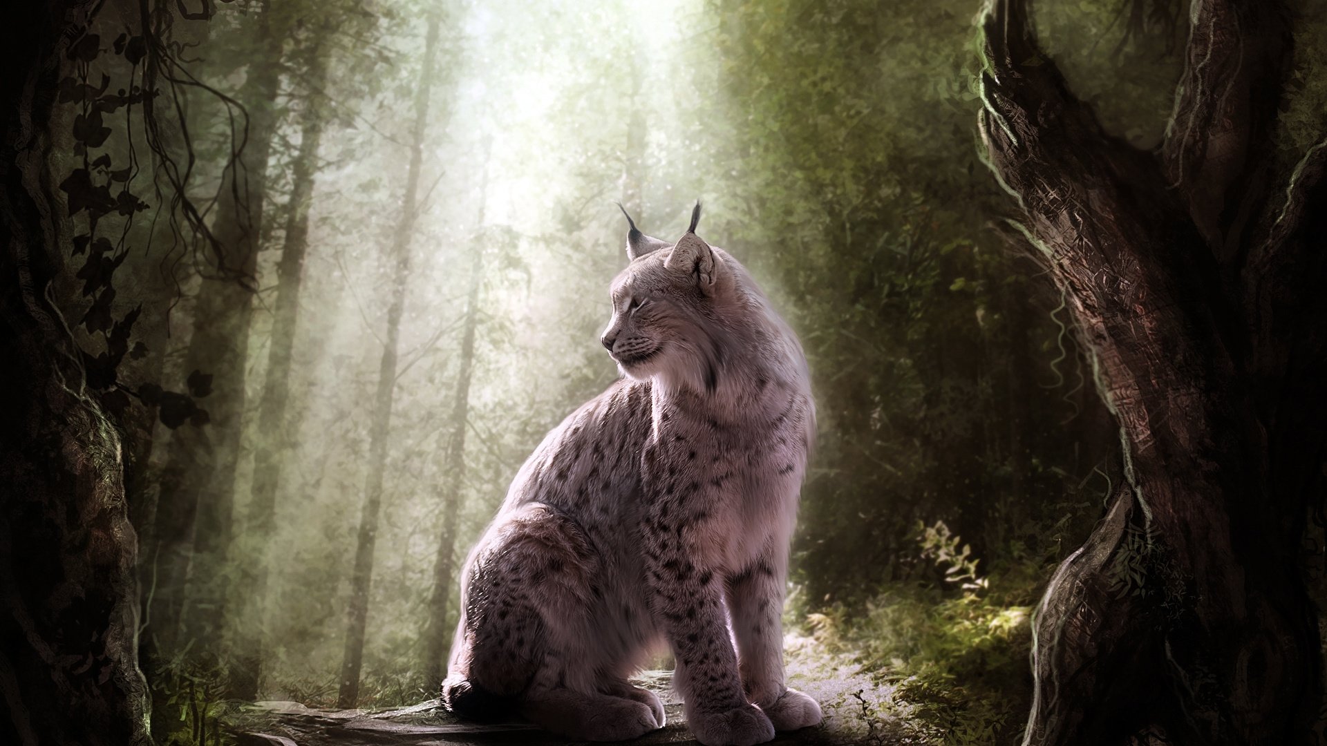 Download full hd 1920x1080 Lynx PC background ID:105815 for free