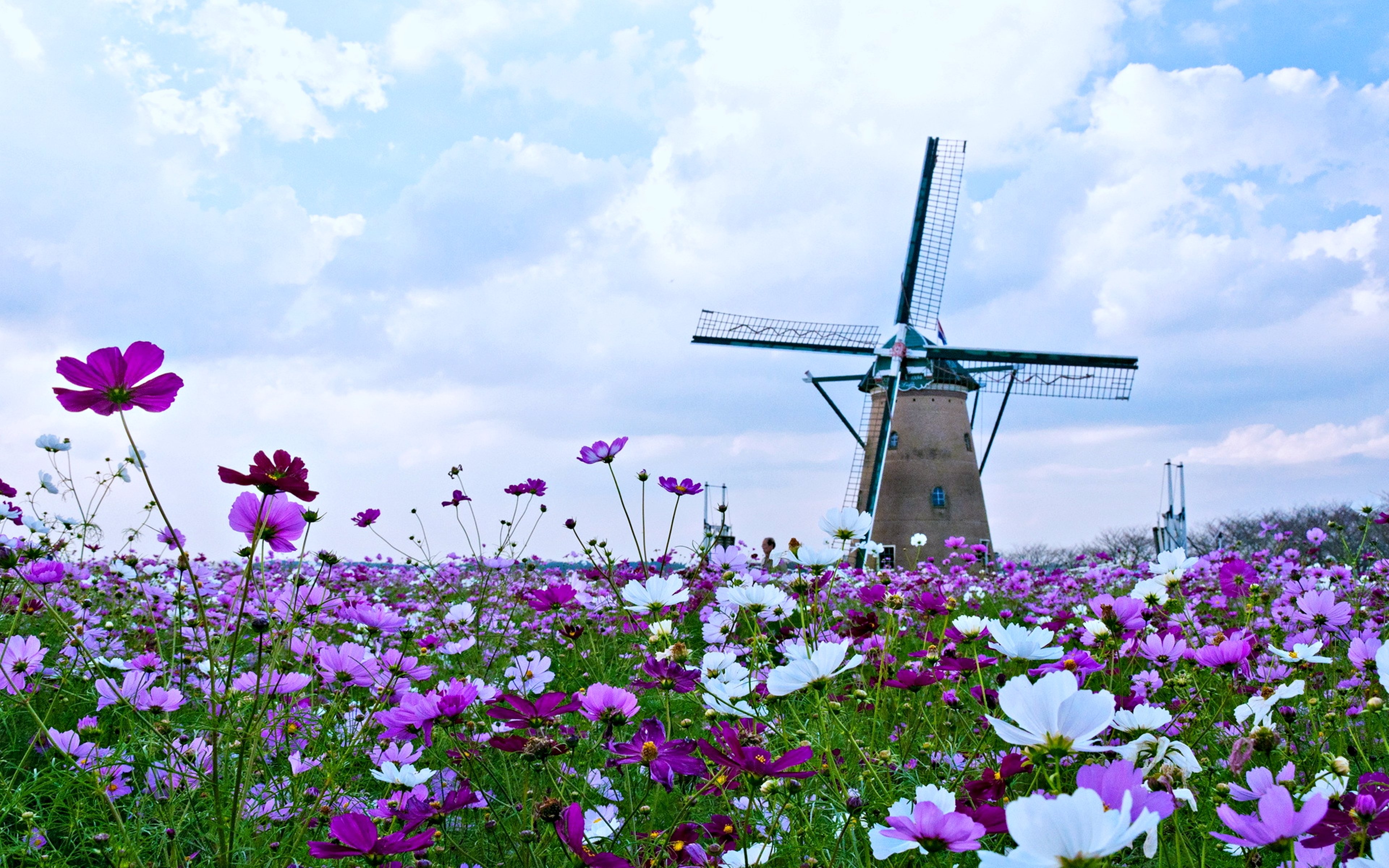 High resolution Windmill hd 3840x2400 background ID:482506 for PC
