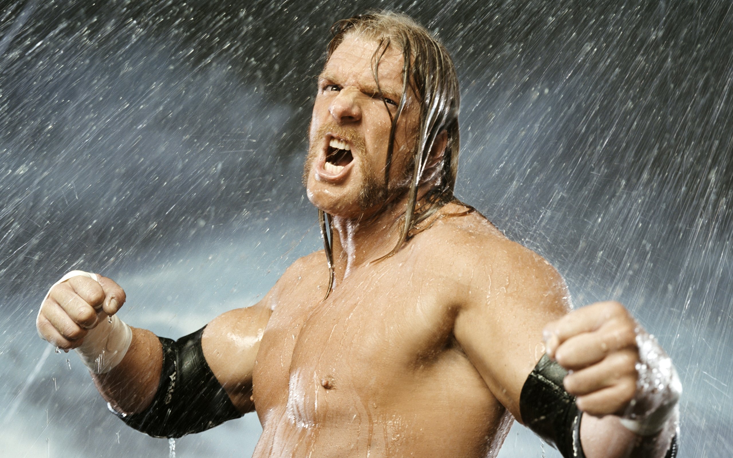 Best Triple H background ID:186239 for High Resolution hd 2560x1600 PC
