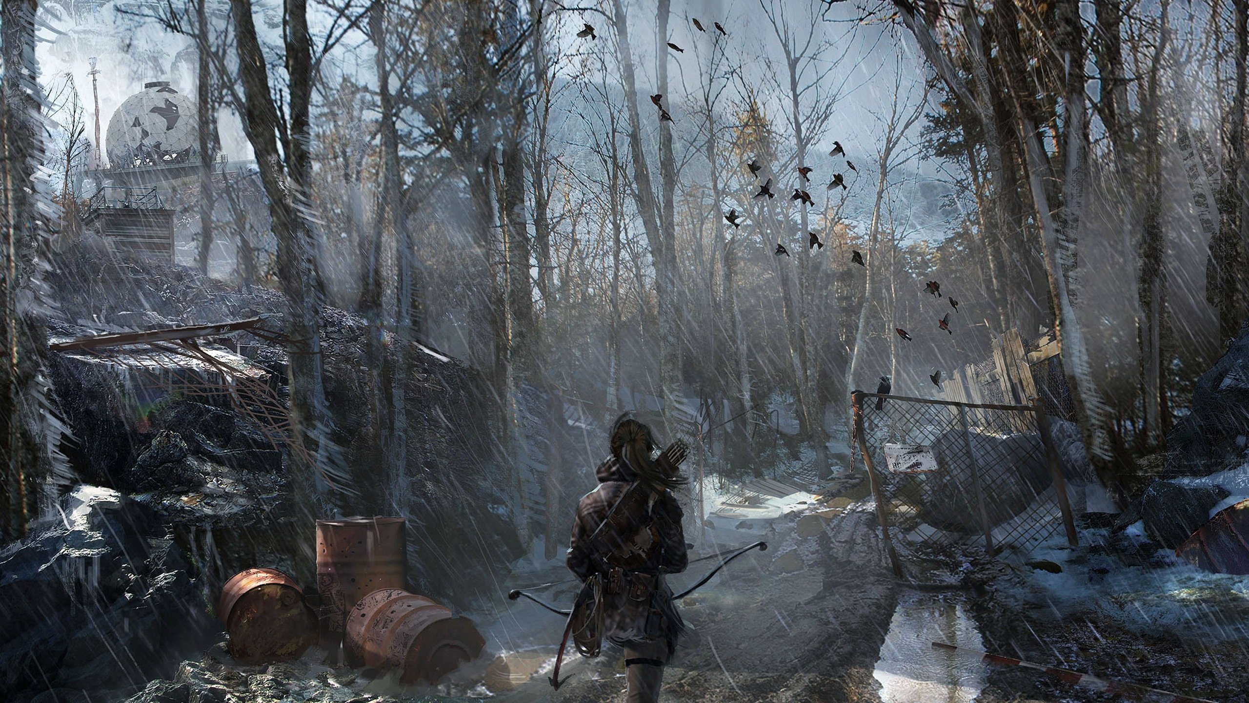 Download hd 2560x1440 Rise Of The Tomb Raider PC background ID:83901 for free