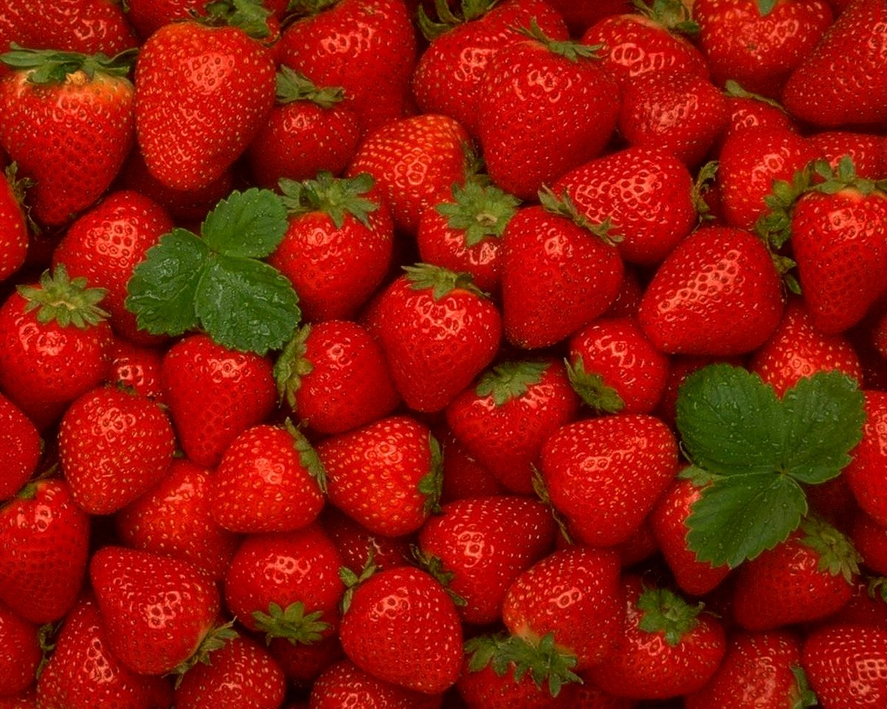 Awesome Strawberry free background ID:90706 for hd 1280x1024 computer