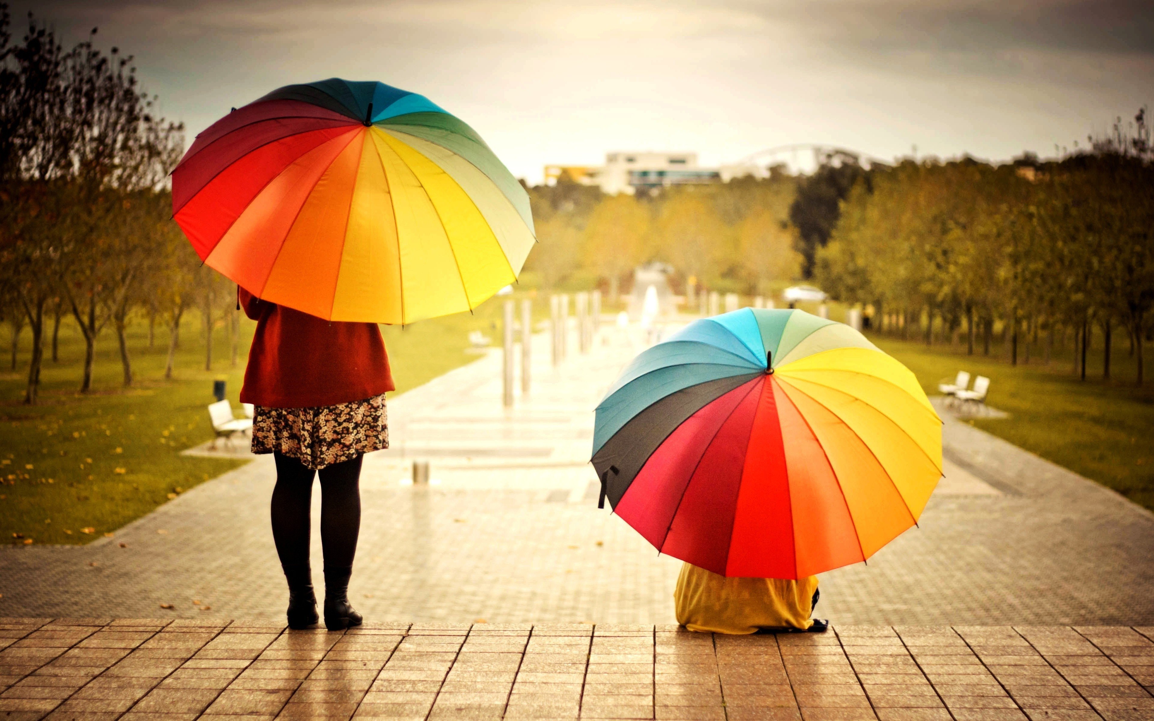 Free Umbrella high quality background ID:375419 for hd 3840x2400 PC