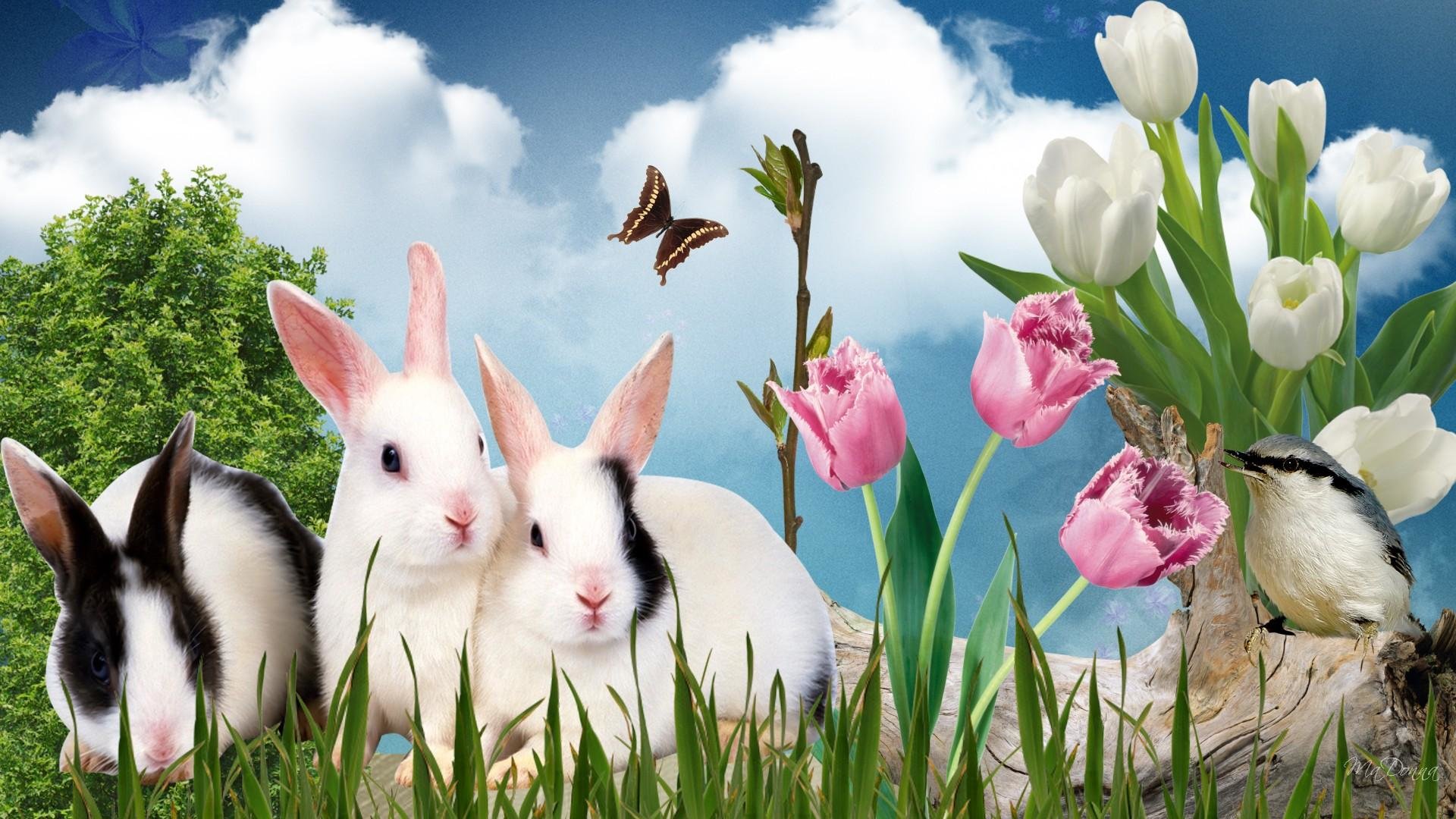 Free download Easter background ID:324791 hd 1920x1080 for PC