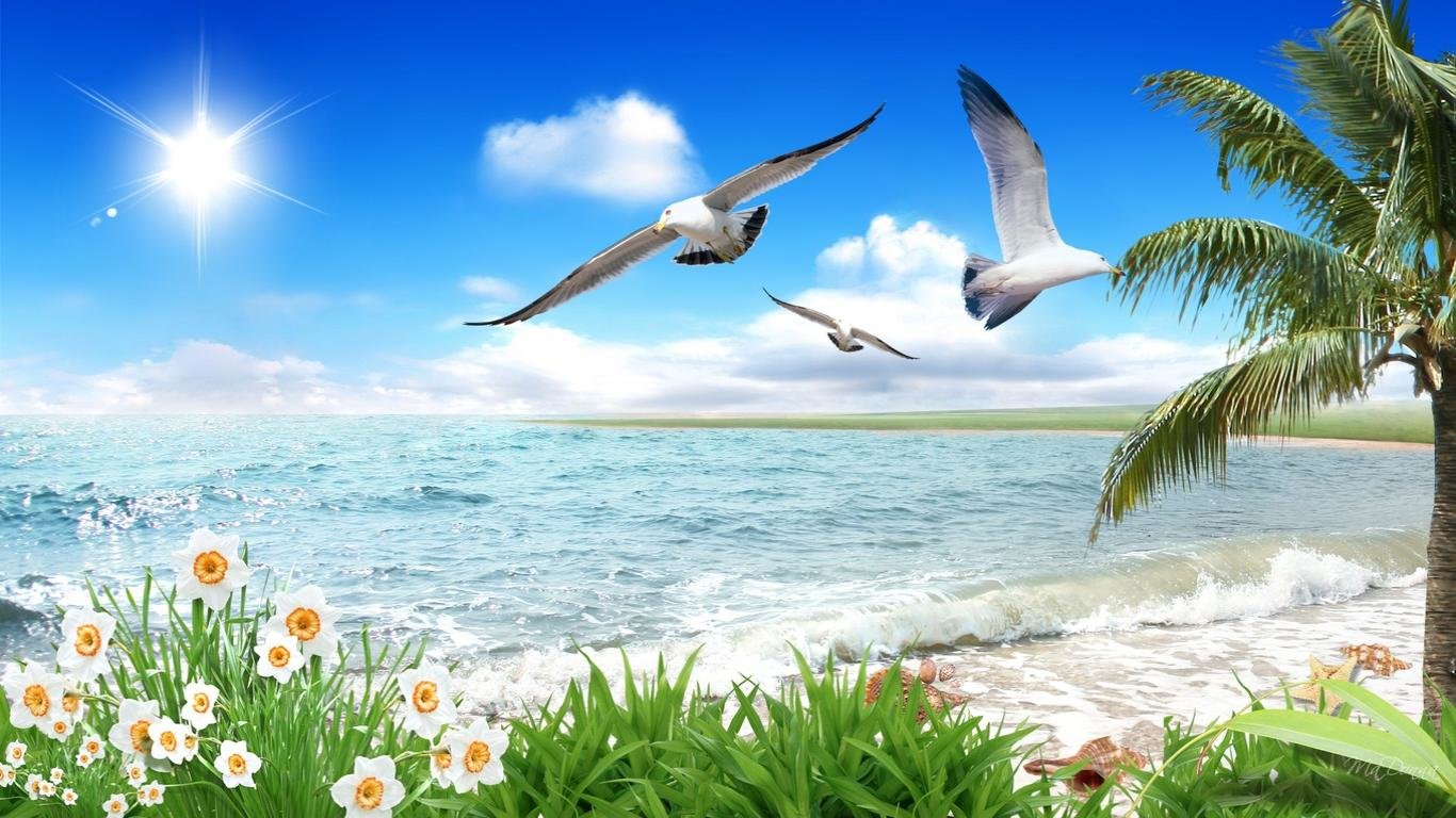 Free Bird high quality wallpaper ID:404108 for laptop computer