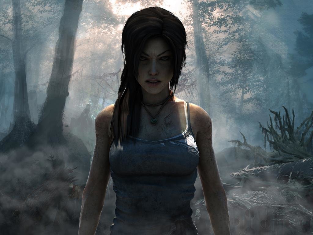 Free download Tomb Raider (2013) background ID:375513 hd 1024x768 for desktop
