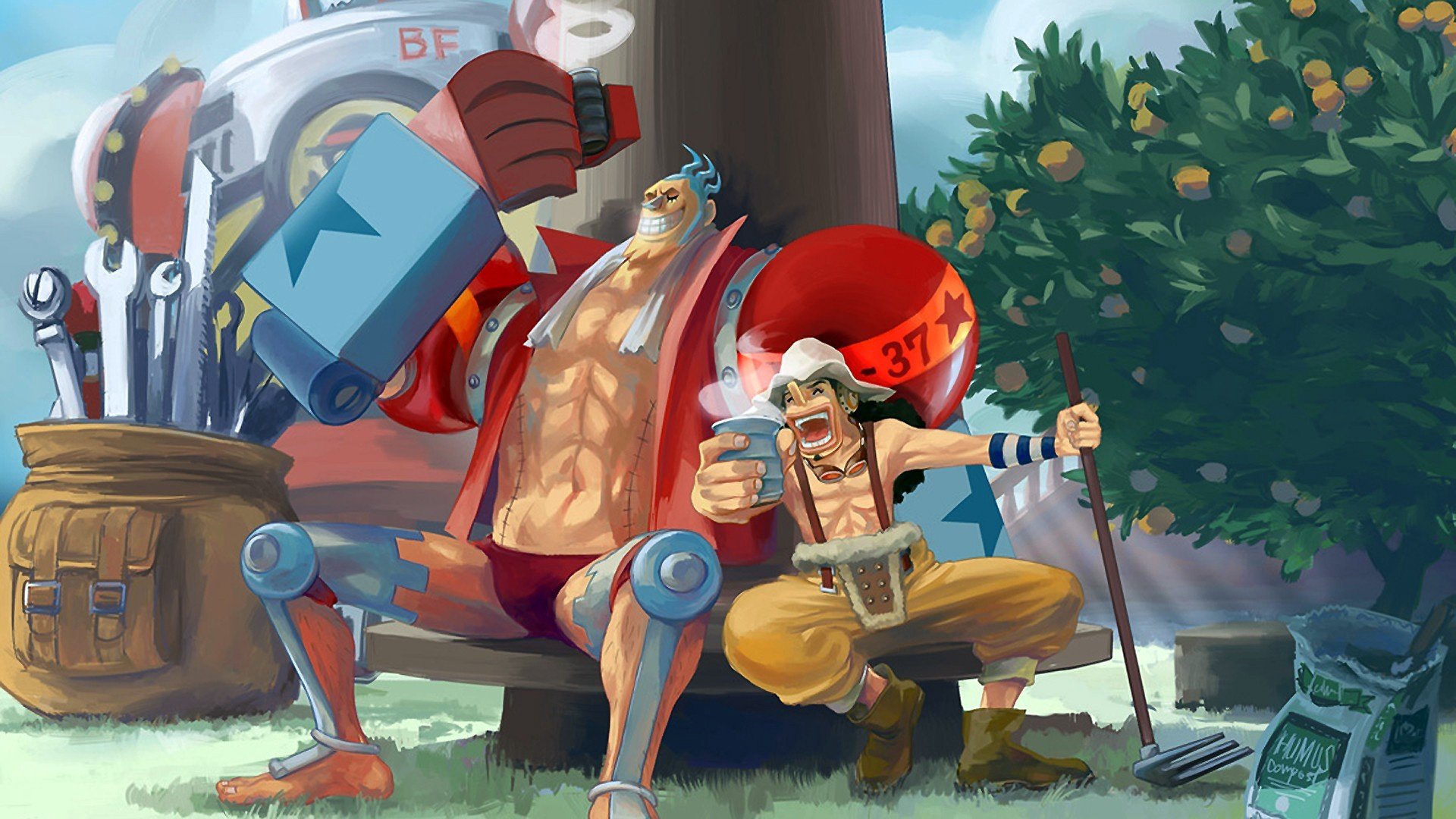 Franky One Piece Wallpapers HD For Desktop Backgrounds