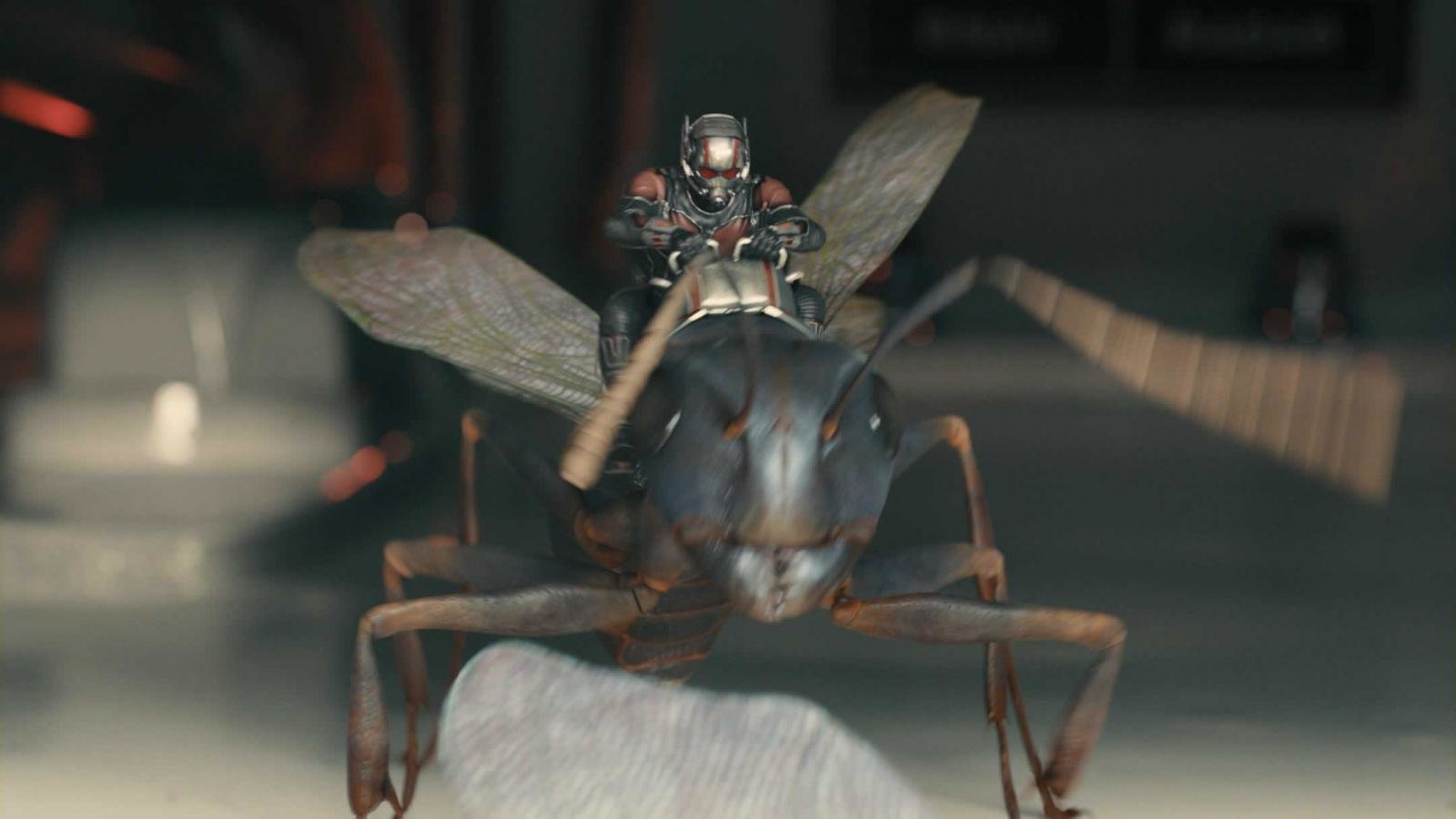 Best Ant-Man background ID:254633 for High Resolution hd 1600x900 PC