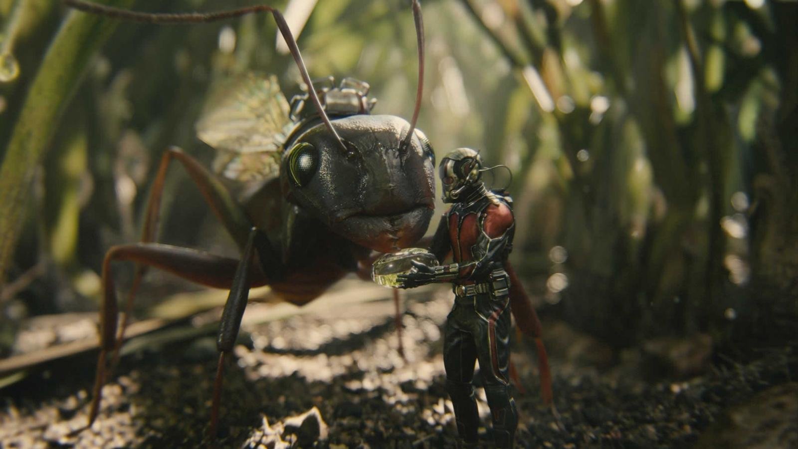 Download hd 1600x900 Ant-Man PC wallpaper ID:254630 for free