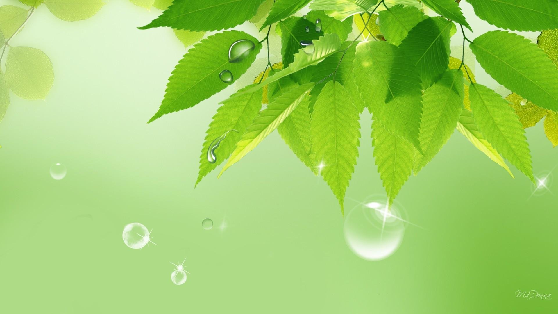 Free download Green wallpaper ID:127768 full hd 1080p for PC