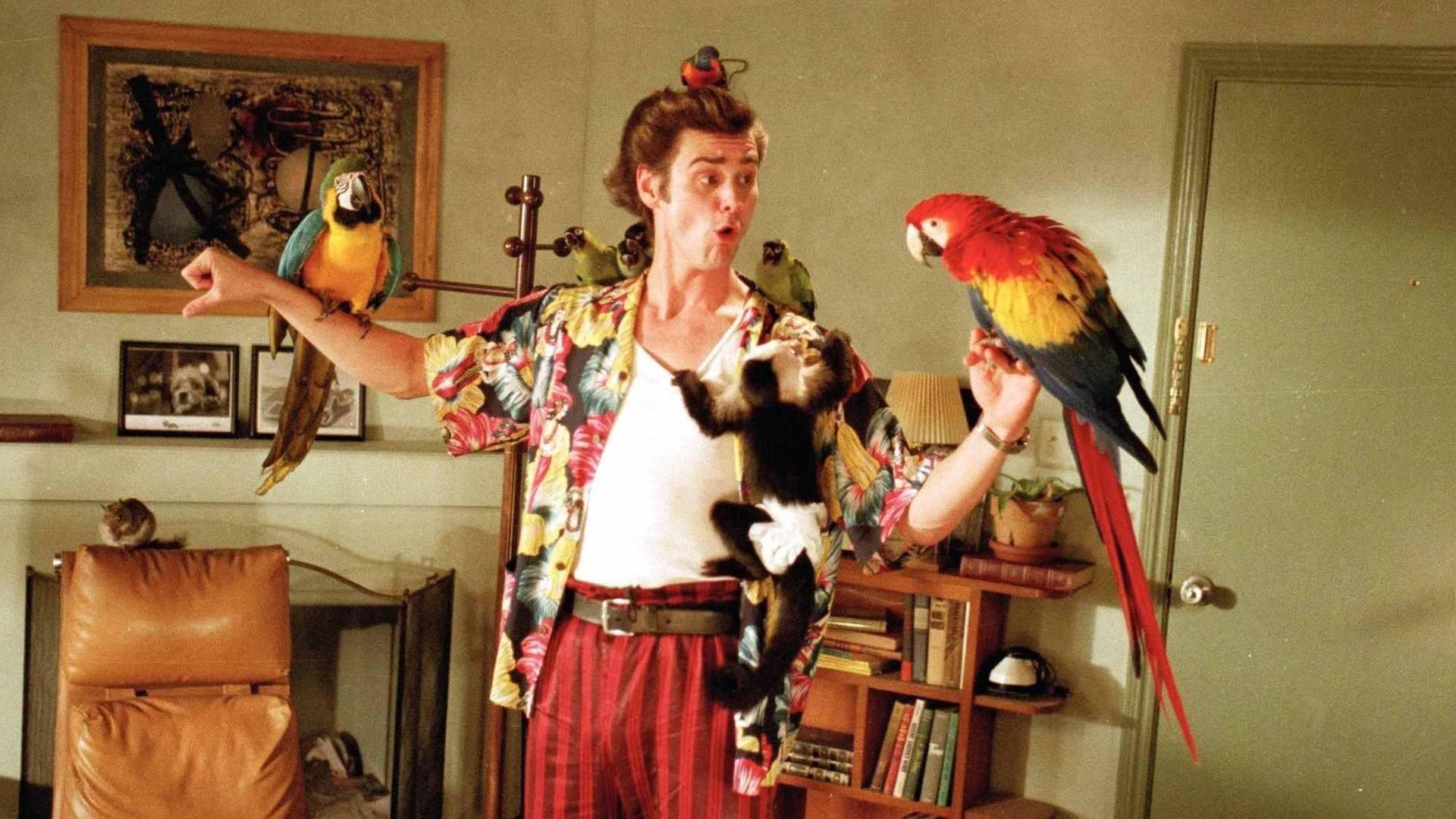 Free Ace Ventura: Pet Detective high quality background ID:114173 for 1080p desktop