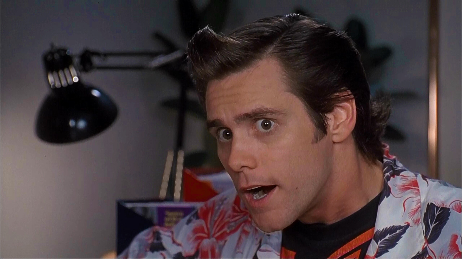 Download full hd 1920x1080 Ace Ventura: Pet Detective computer background ID:114170 for free