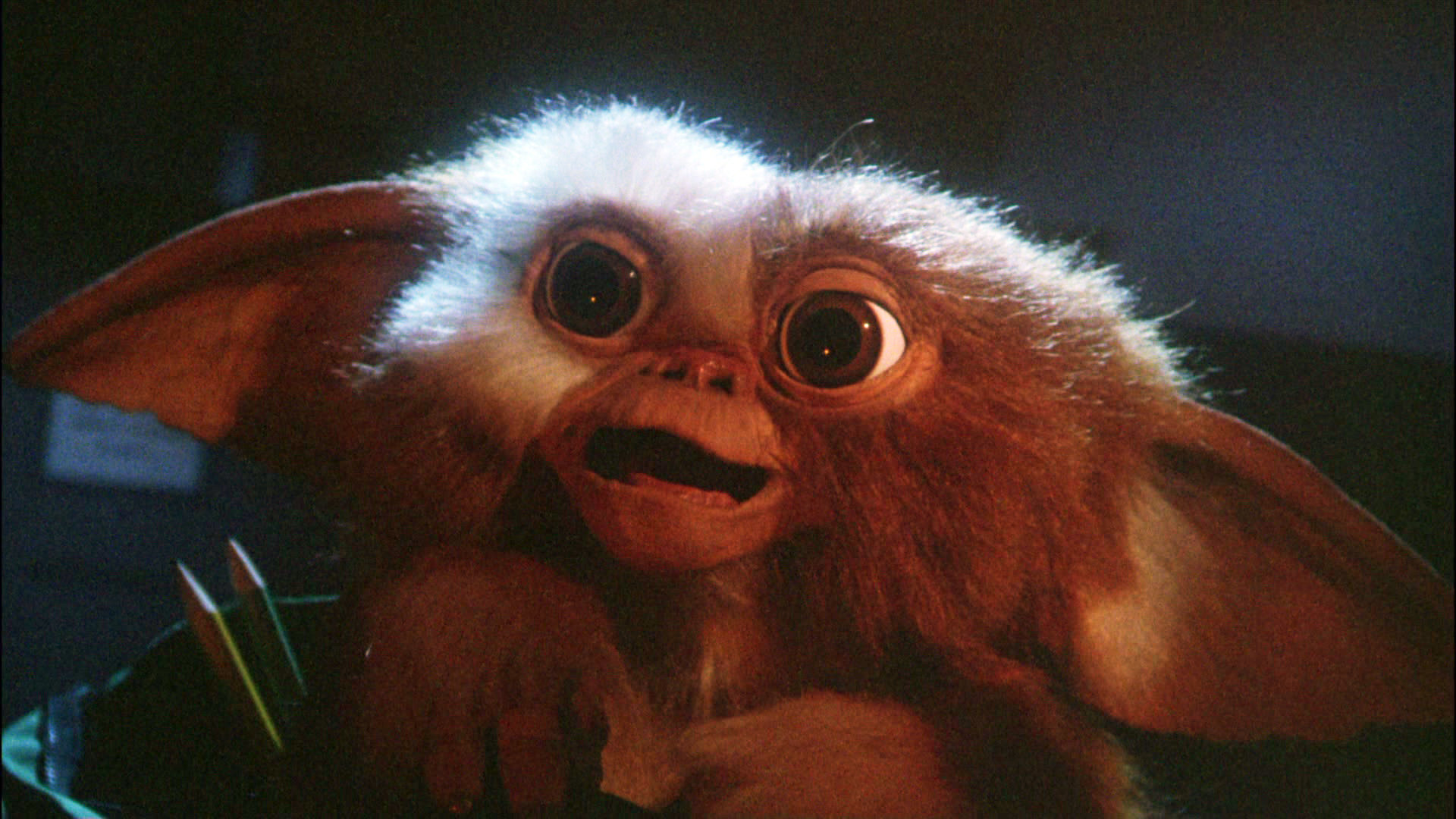 High resolution Gremlins hd 1920x1080 background ID:291127 for computer