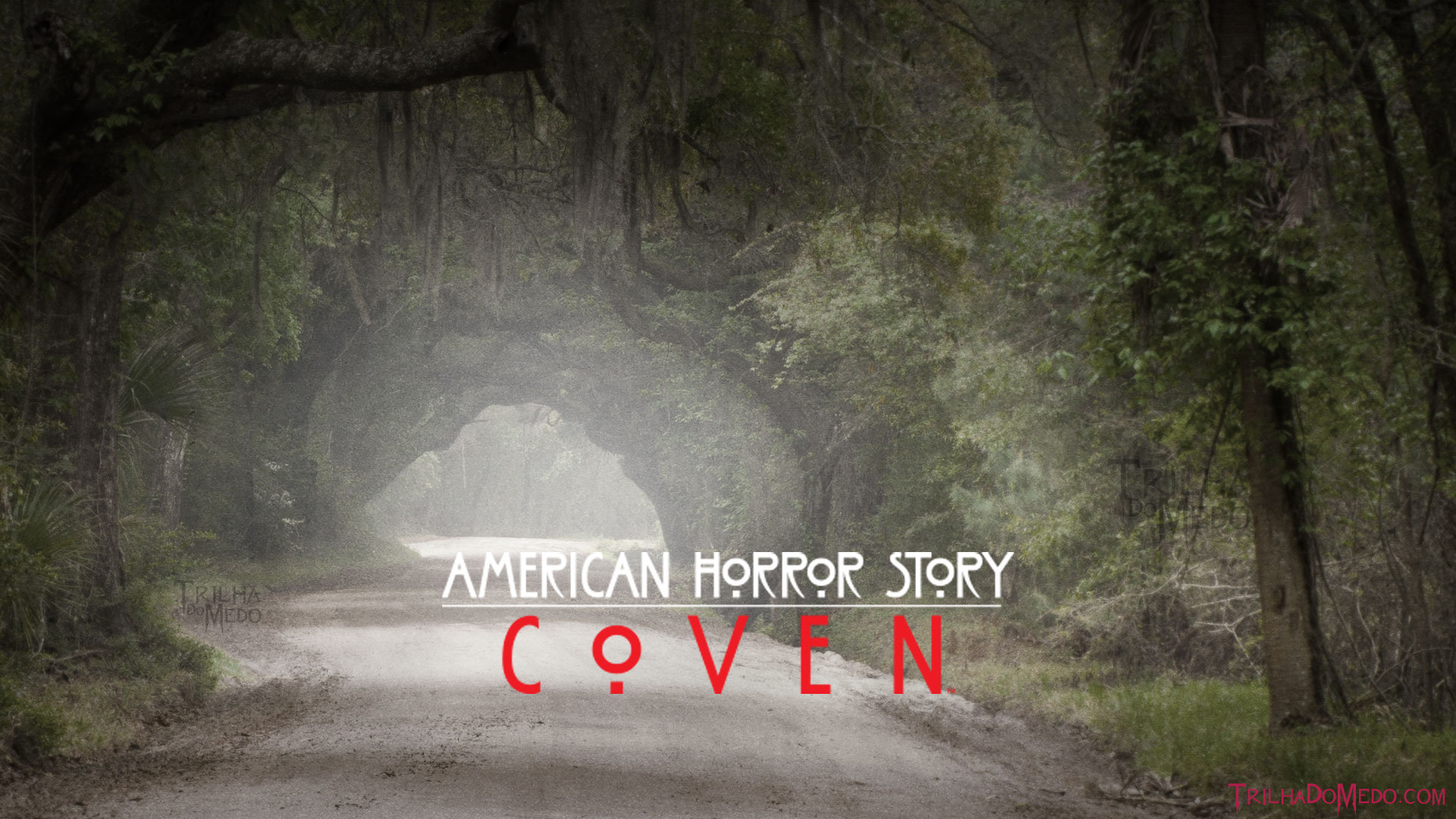 Free American Horror Story: Coven high quality background ID:103124 for full hd PC