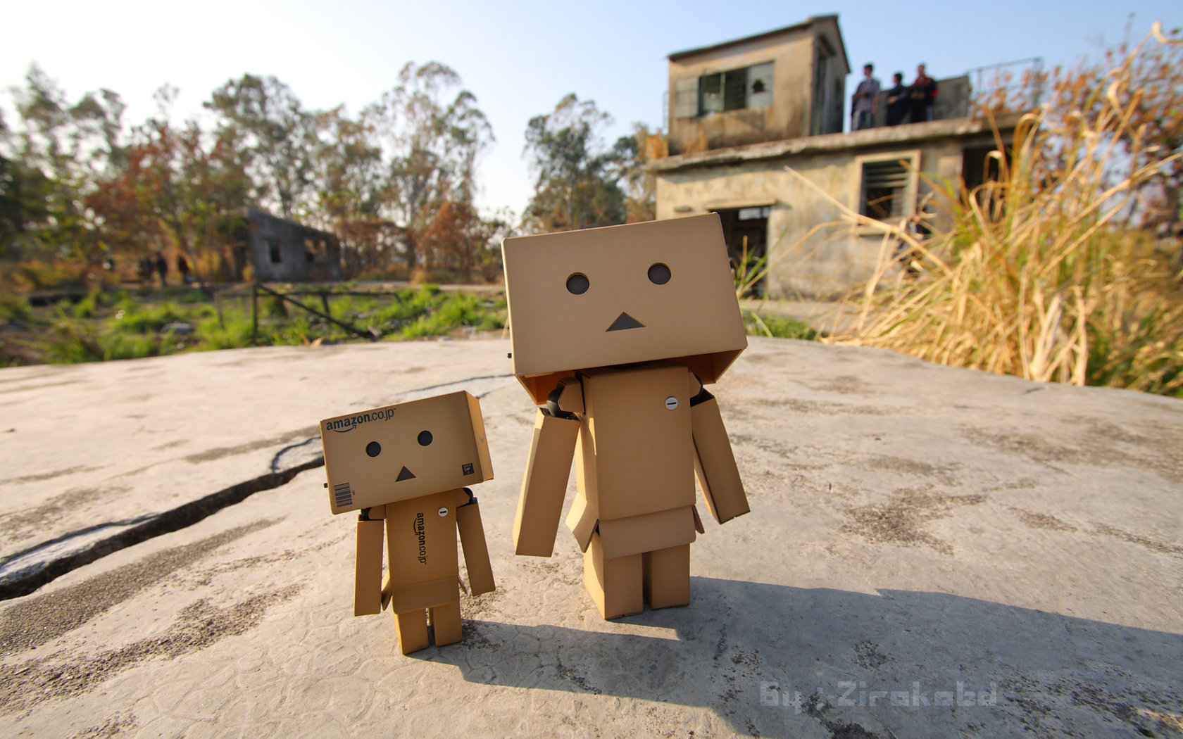 Free download Danbo wallpaper ID:30388 hd 1680x1050 for PC