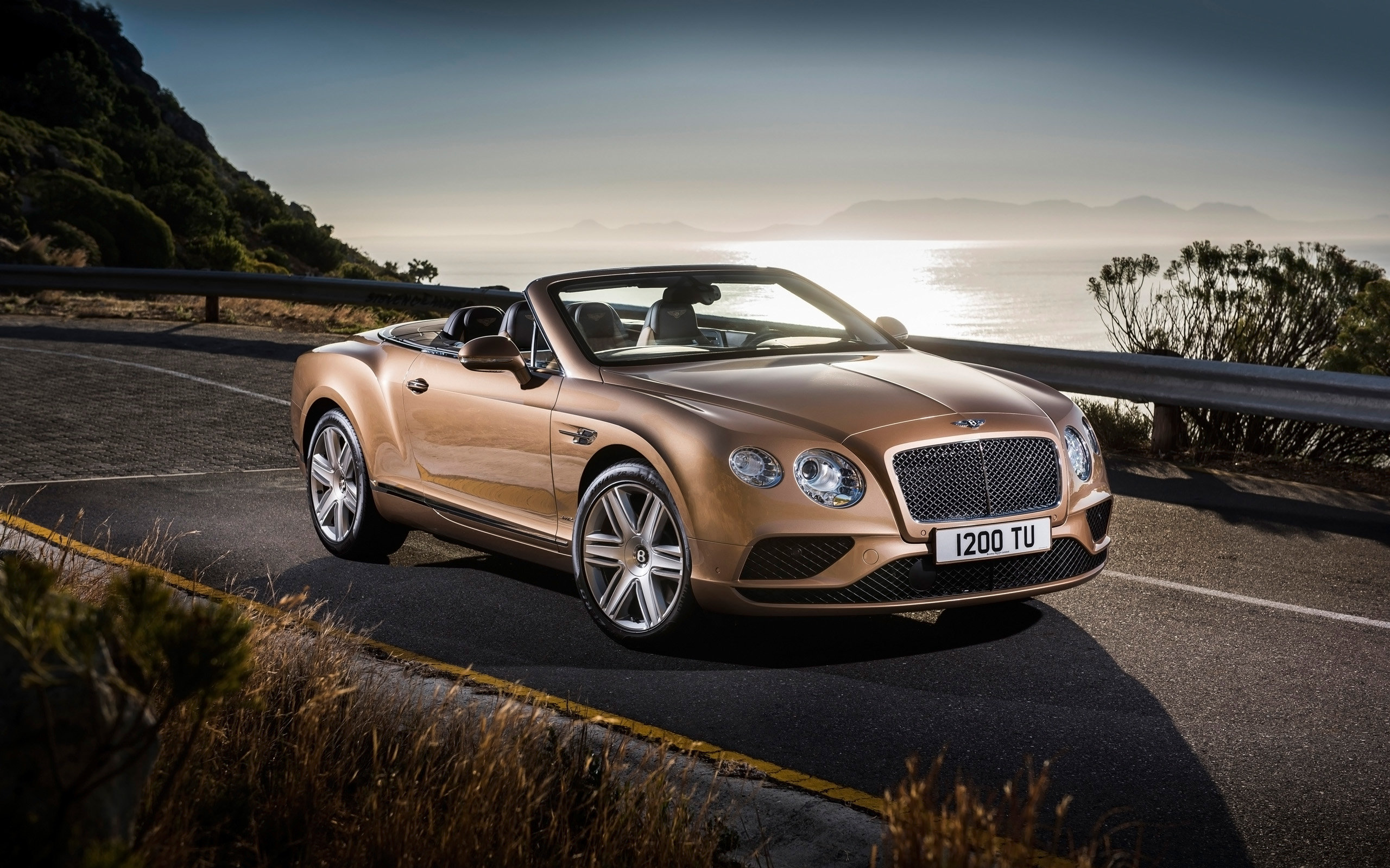 Awesome Bentley Continental free background ID:92930 for hd 2560x1600 PC