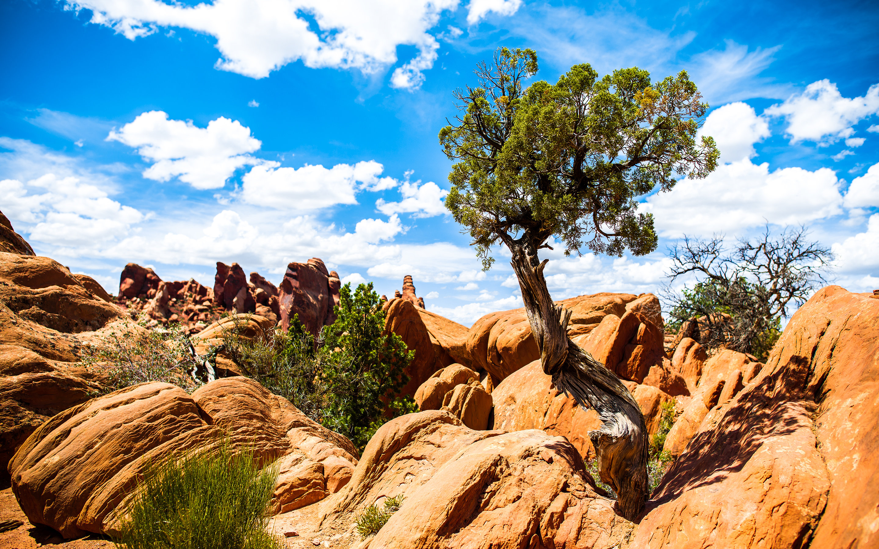 High resolution Arches National Park hd 2880x1800 wallpaper ID:465184 for PC