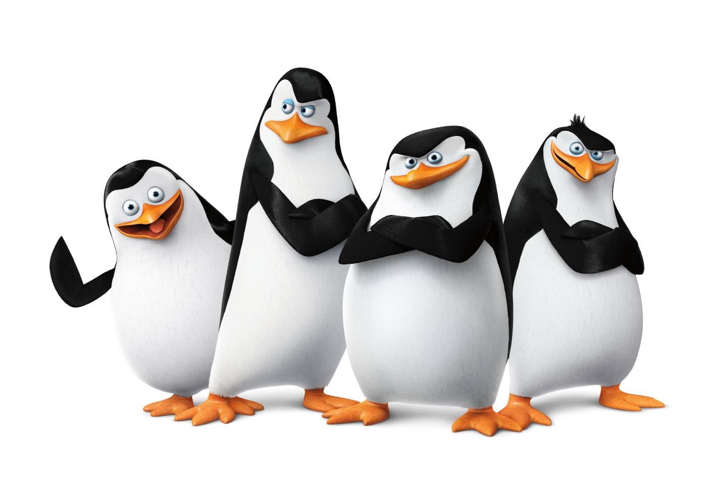 Free Penguins Of Madagascar high quality background ID:385315 for hd 1440x960 computer