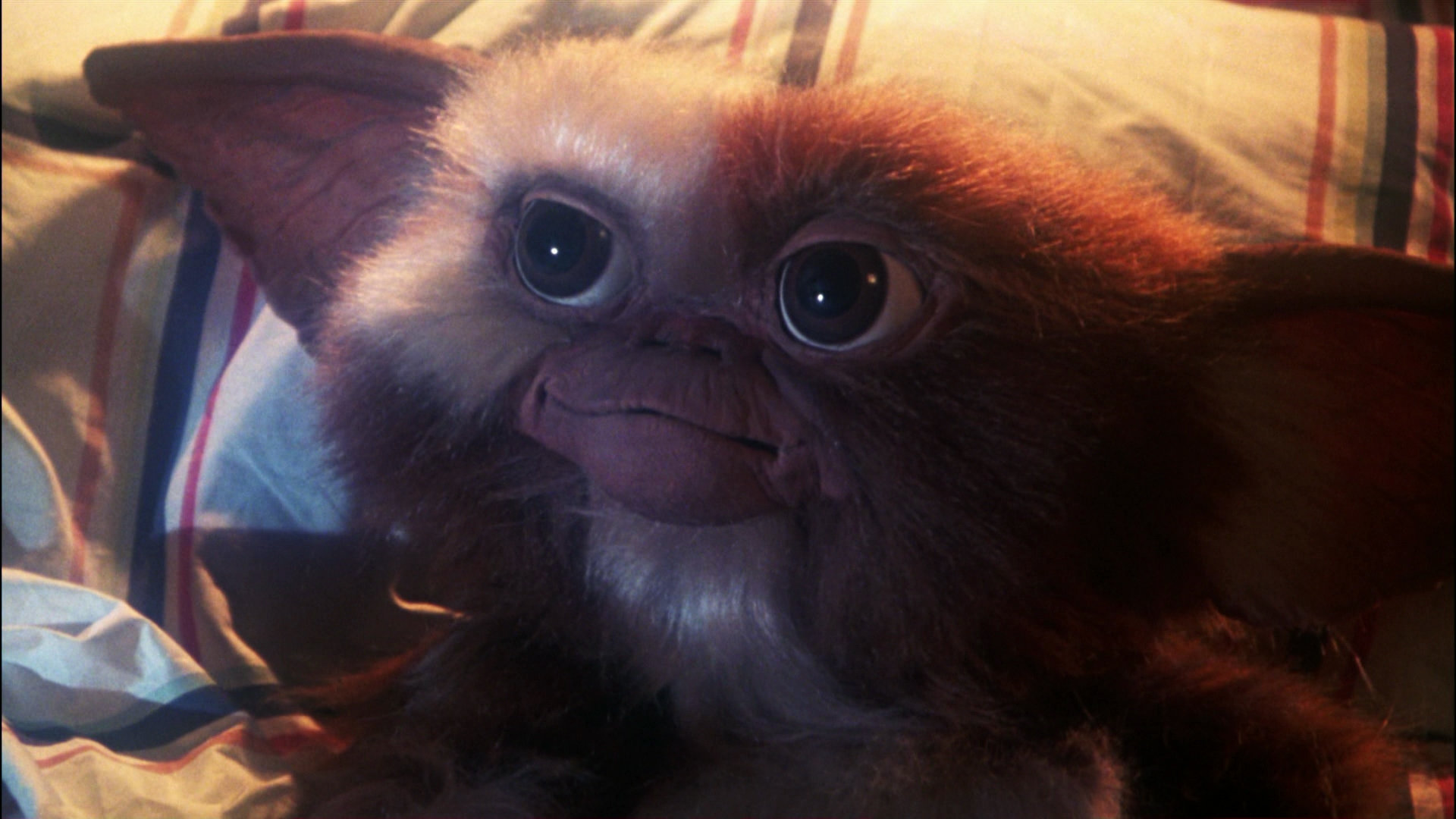 Free Gremlins high quality wallpaper ID:291126 for full hd 1080p computer