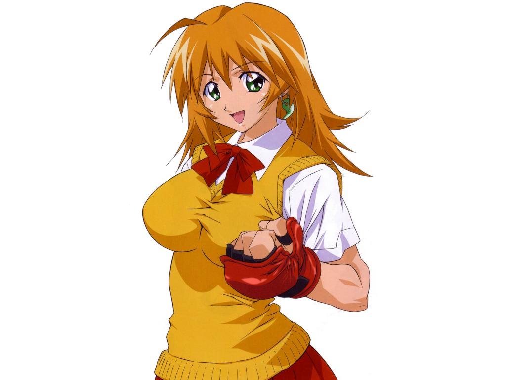 Download hd 1024x768 Ikki Tousen computer background ID:126178 for free