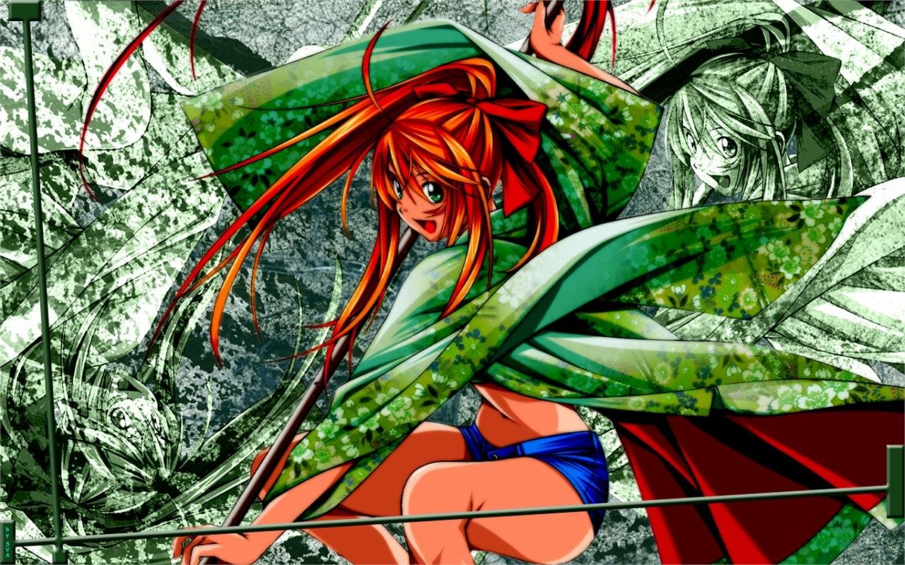 Free Ikki Tousen high quality background ID:126228 for hd 1280x800 PC