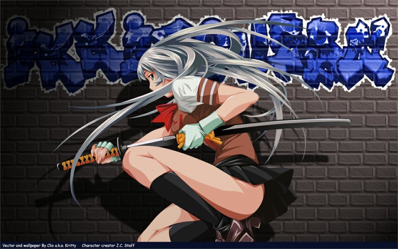 Download hd 1280x800 Ikki Tousen computer background ID:126231 for free