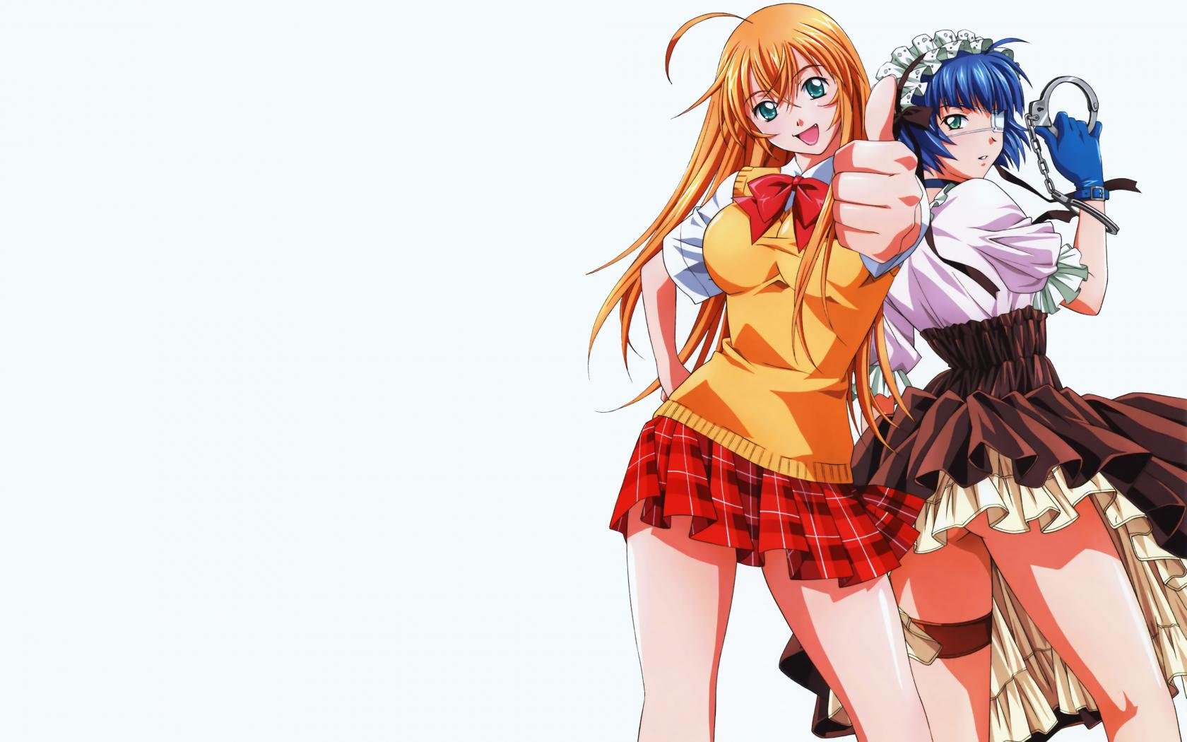 Awesome Ikki Tousen free background ID:126357 for hd 1680x1050 computer