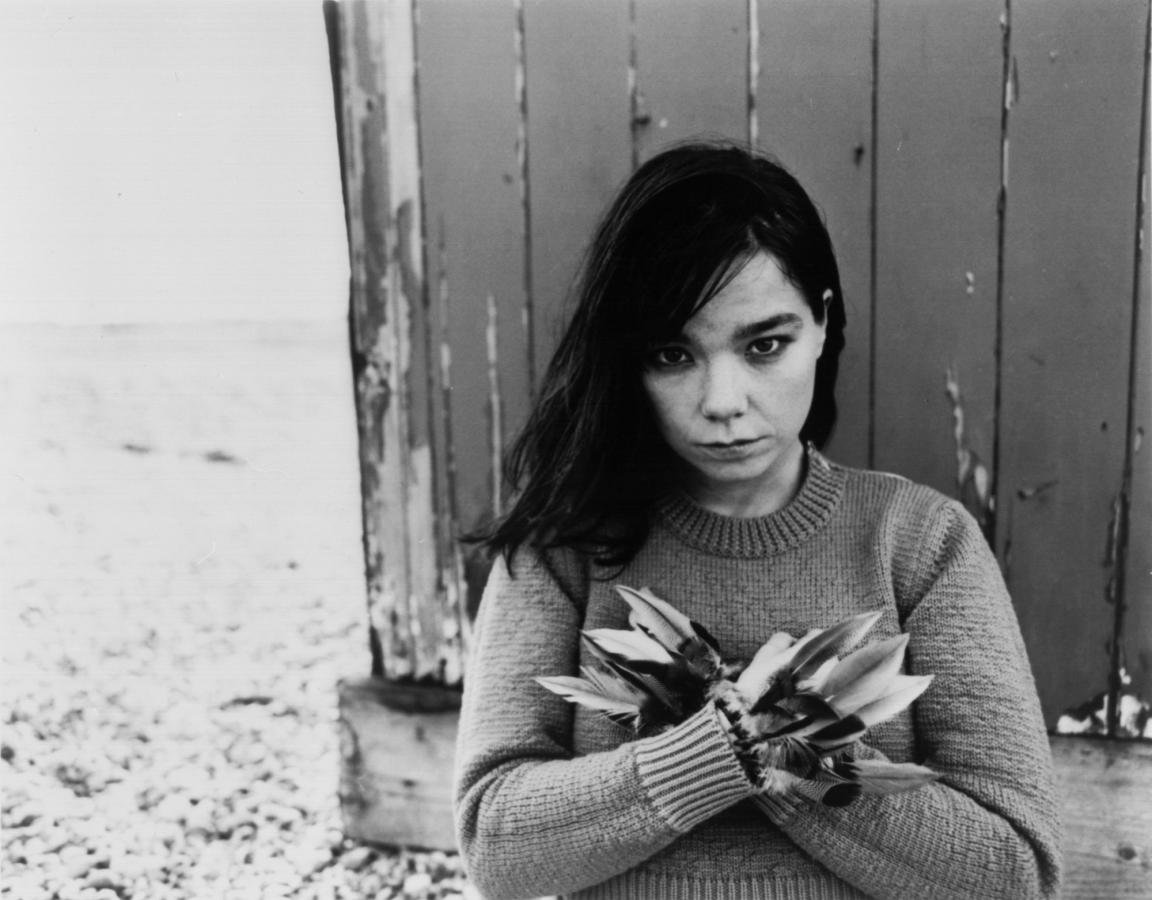Free download Bjork background ID:26720 hd 1152x900 for computer