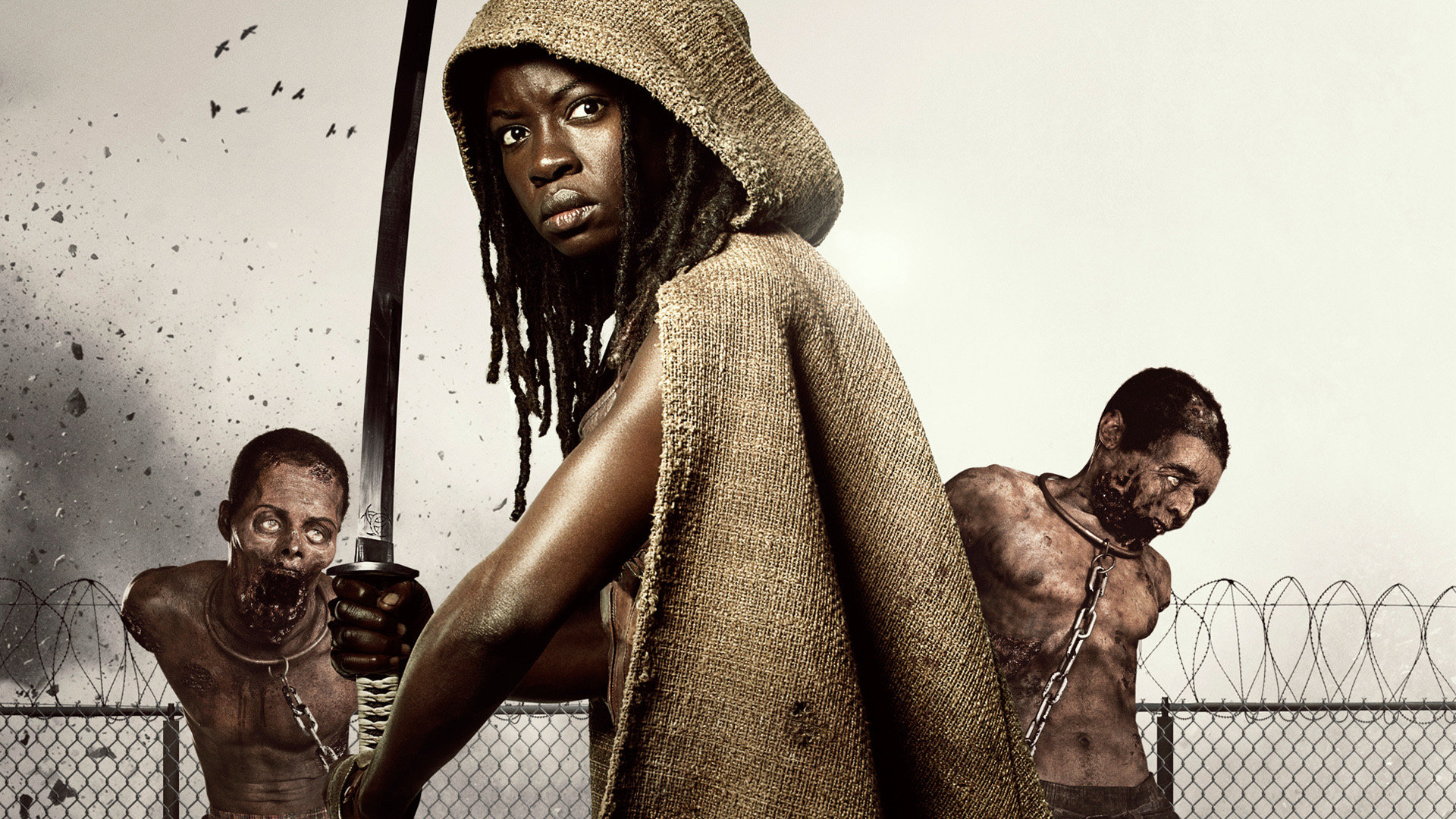 Michonne The Walking Dead Wallpapers 1920x1080 Full Hd 1080p Images, Photos, Reviews