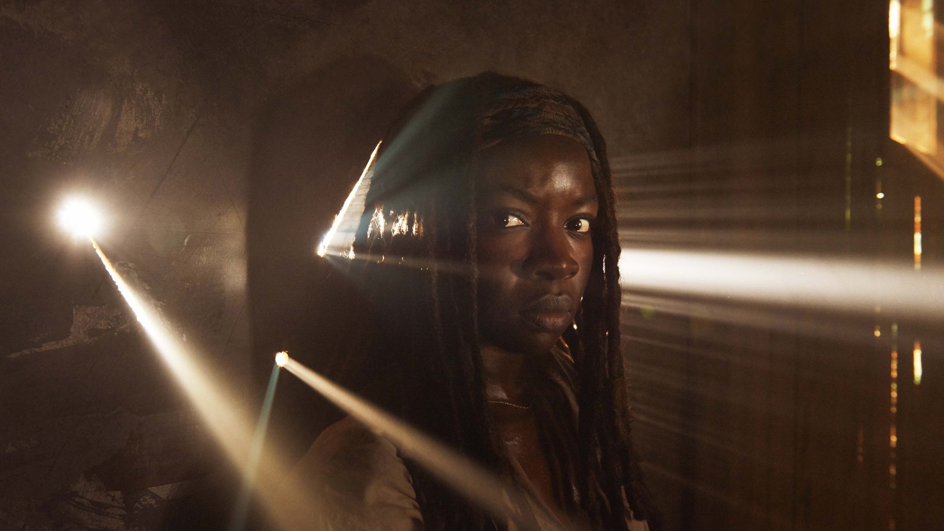 Michonne The Walking Dead Wallpapers Hd For Desktop Backgrounds Images, Photos, Reviews