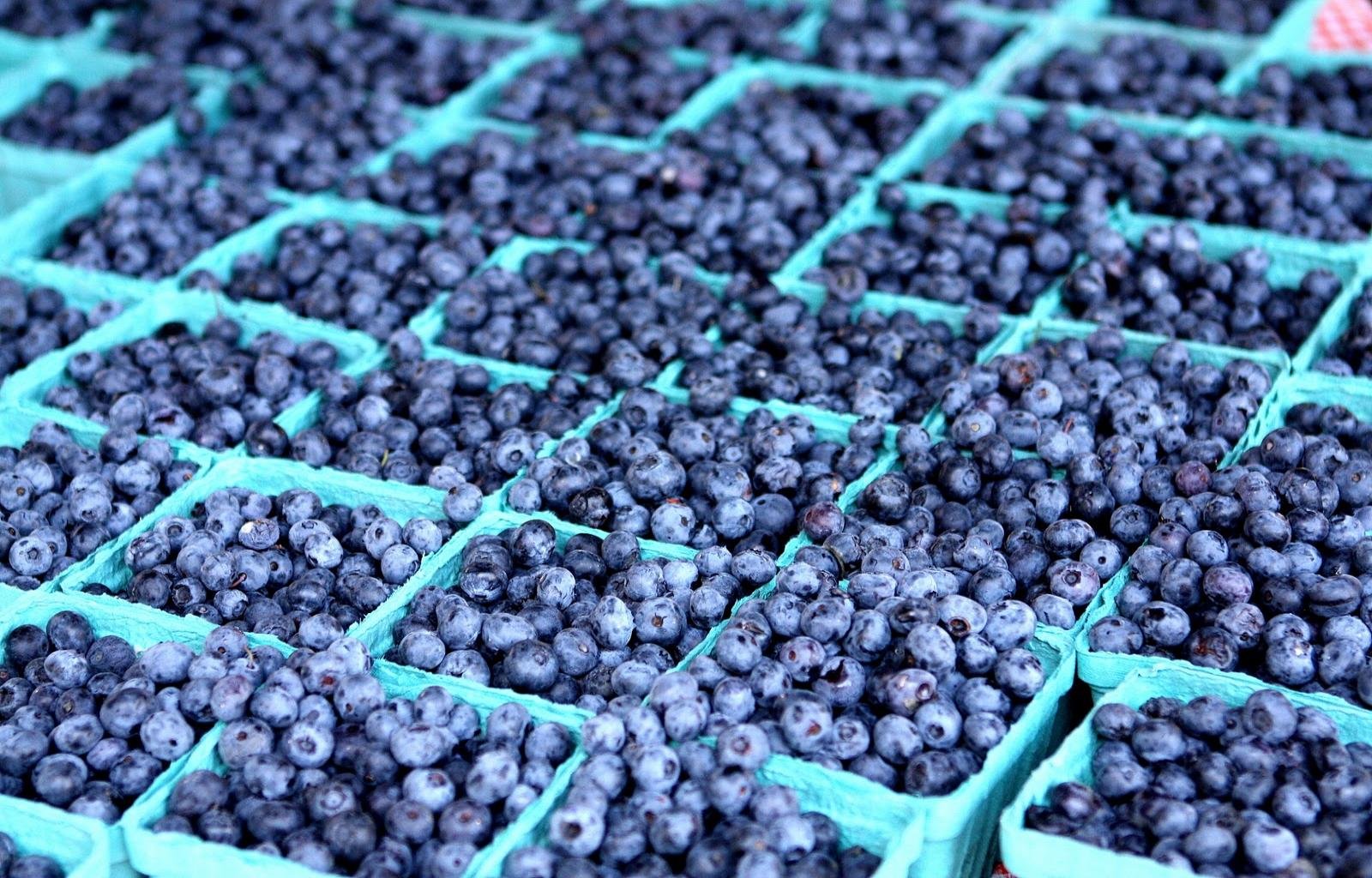 Free Blueberry high quality background ID:69053 for hd 1600x1024 computer
