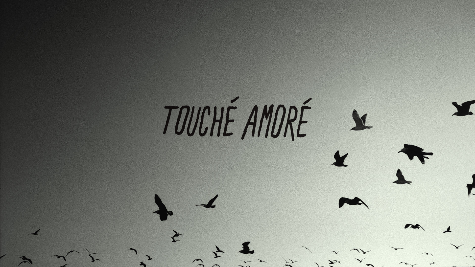 High resolution Touche Amore 1080p background ID:239579 for computer