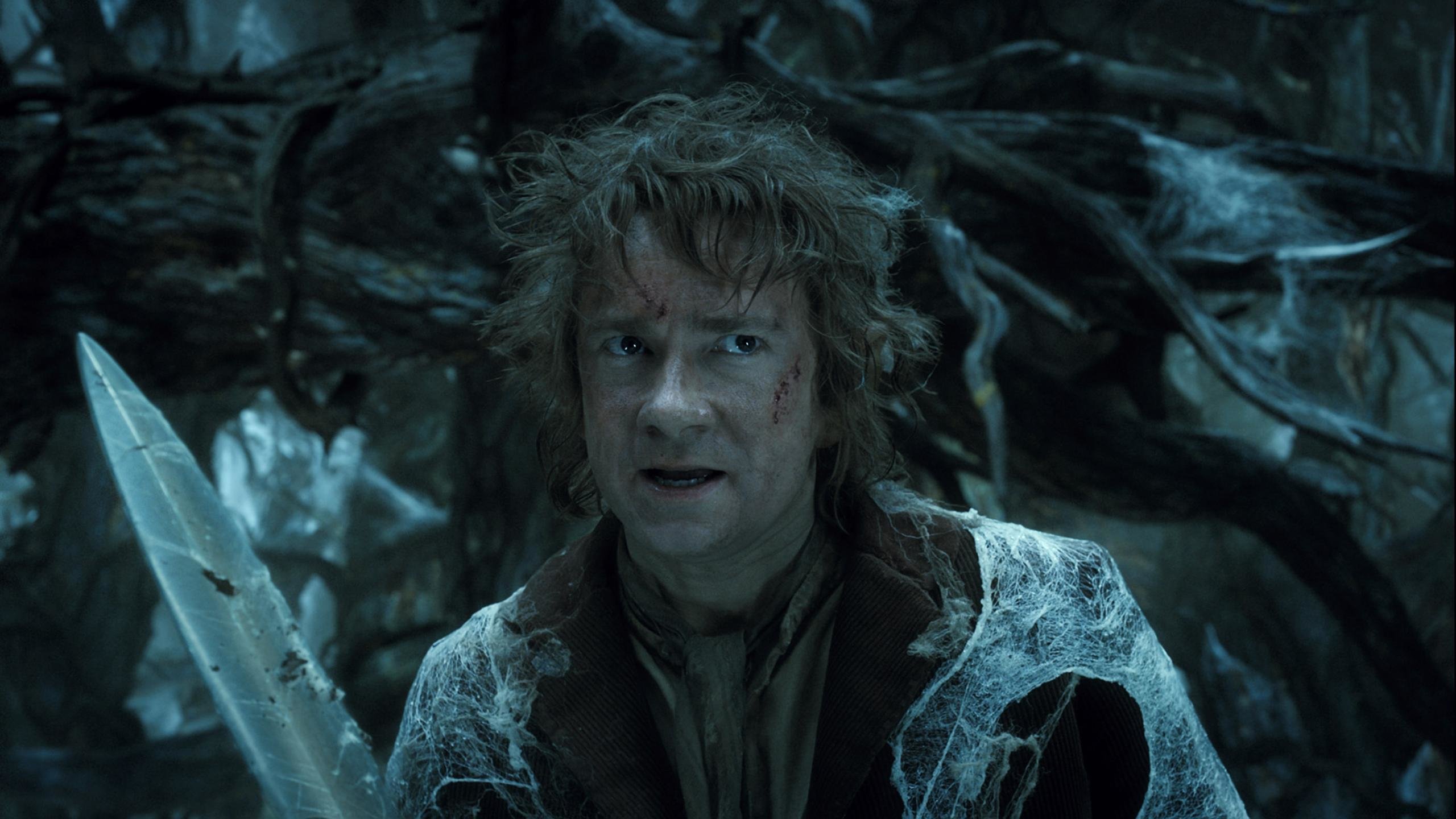 Free The Hobbit: The Desolation Of Smaug high quality wallpaper ID:397776 for hd 2560x1440 PC
