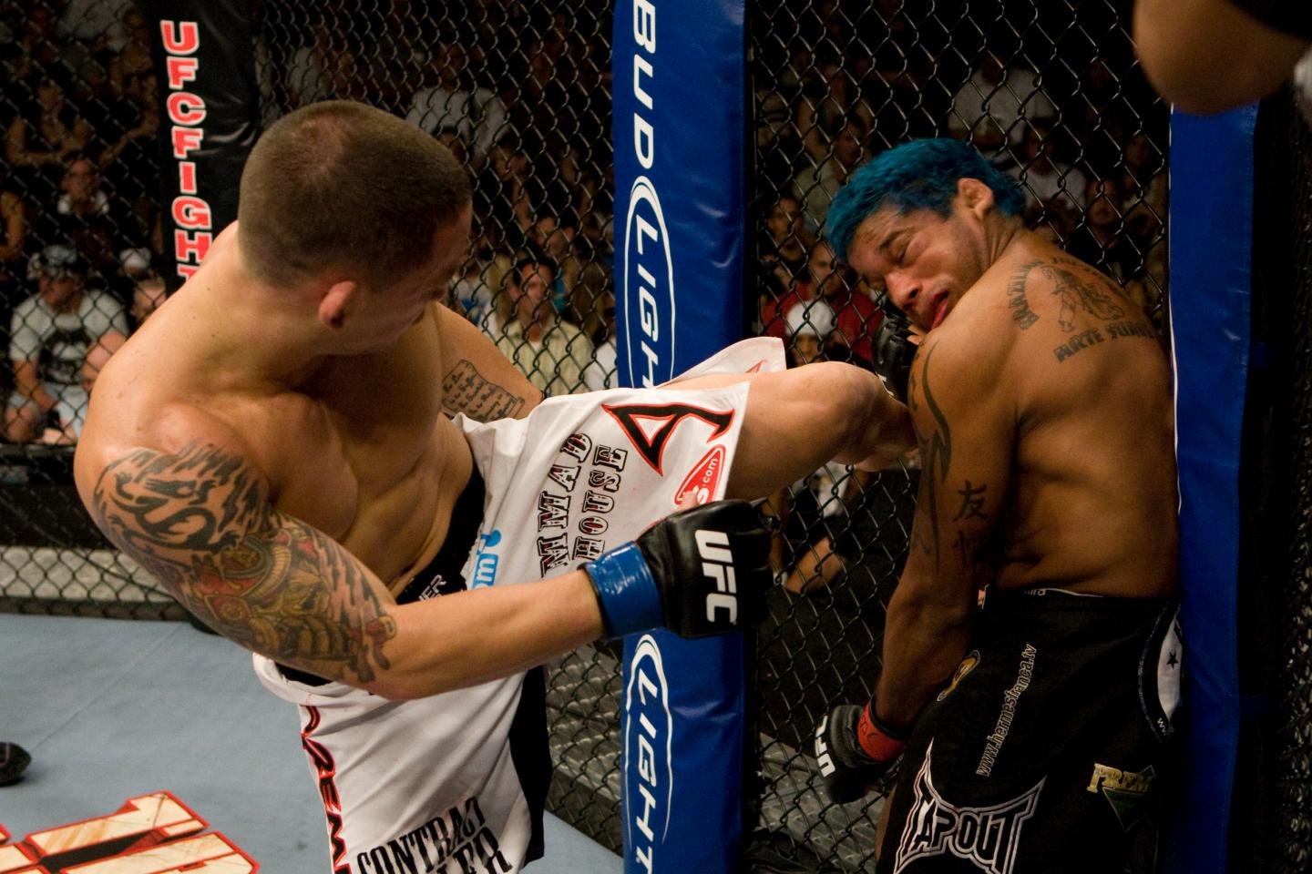 Free MMA (Mixed Martial Arts) high quality background ID:389414 for hd 1440x960 desktop