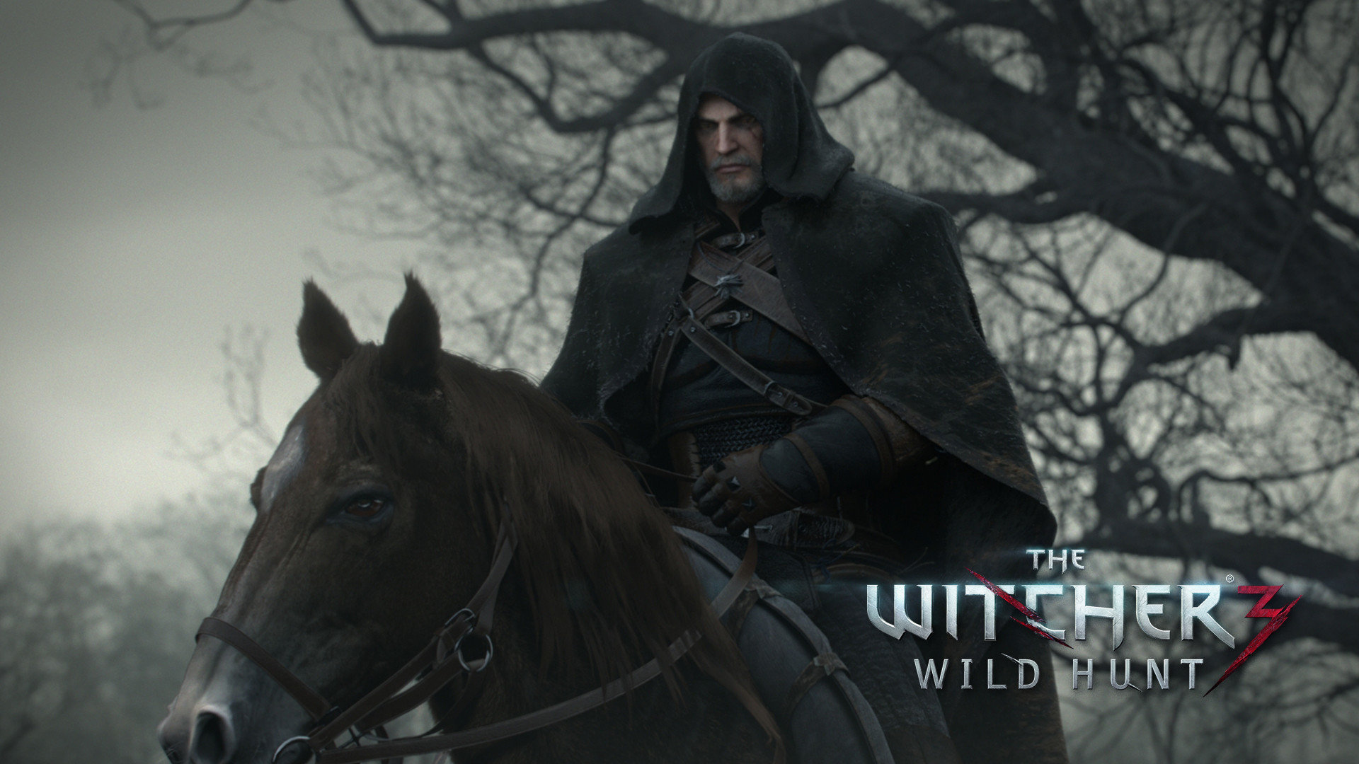 Awesome The Witcher 3: Wild Hunt free background ID:18016 for full hd desktop