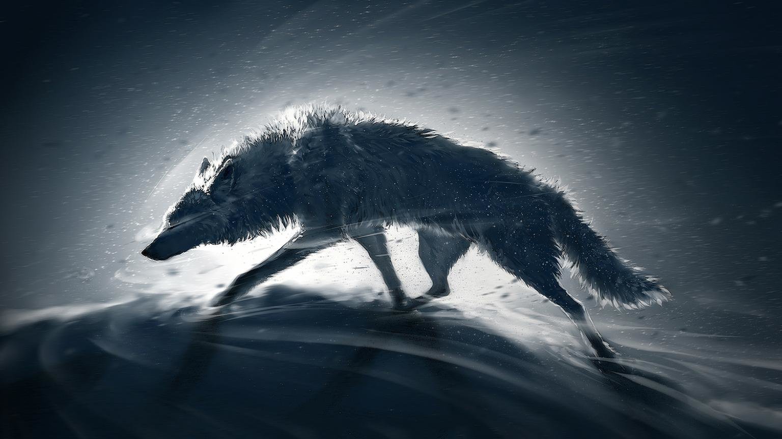 Free download Wolf Fantasy wallpaper ID:346574 hd 1536x864 for computer