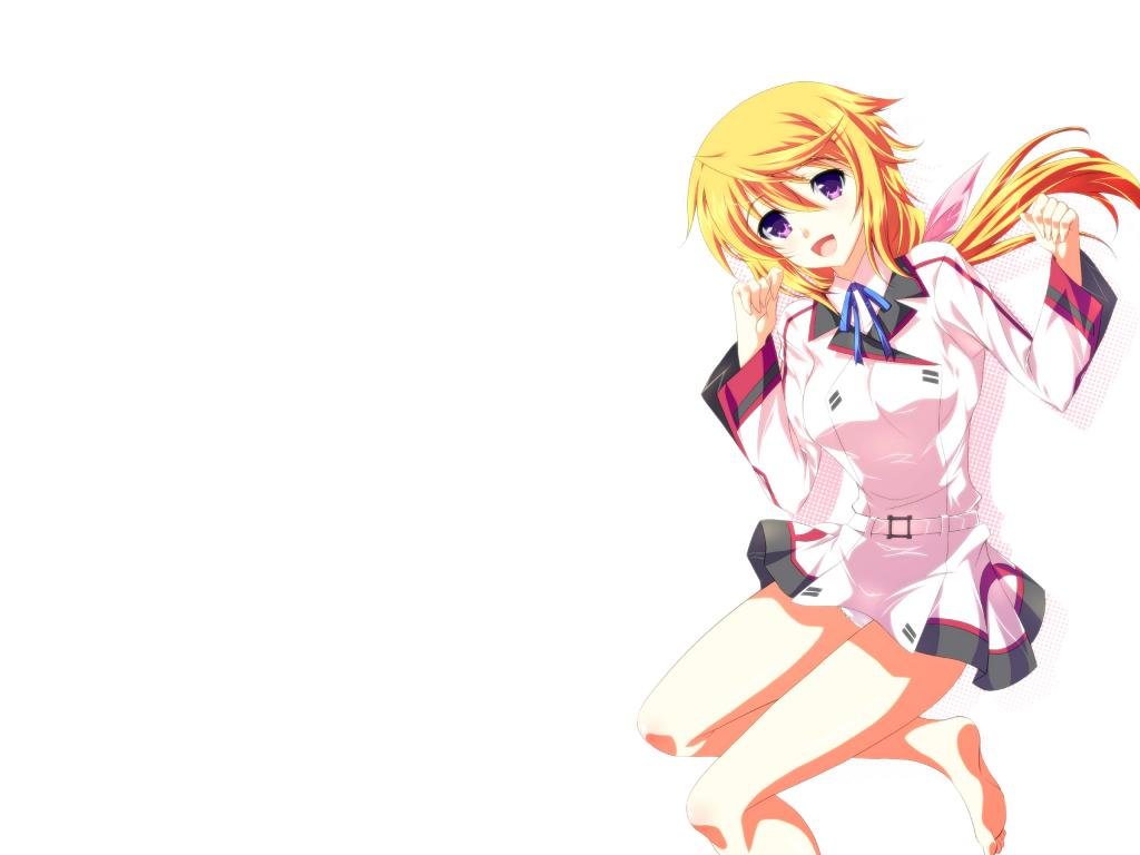 Free download Infinite Stratos background ID:163170 hd 1024x768 for computer