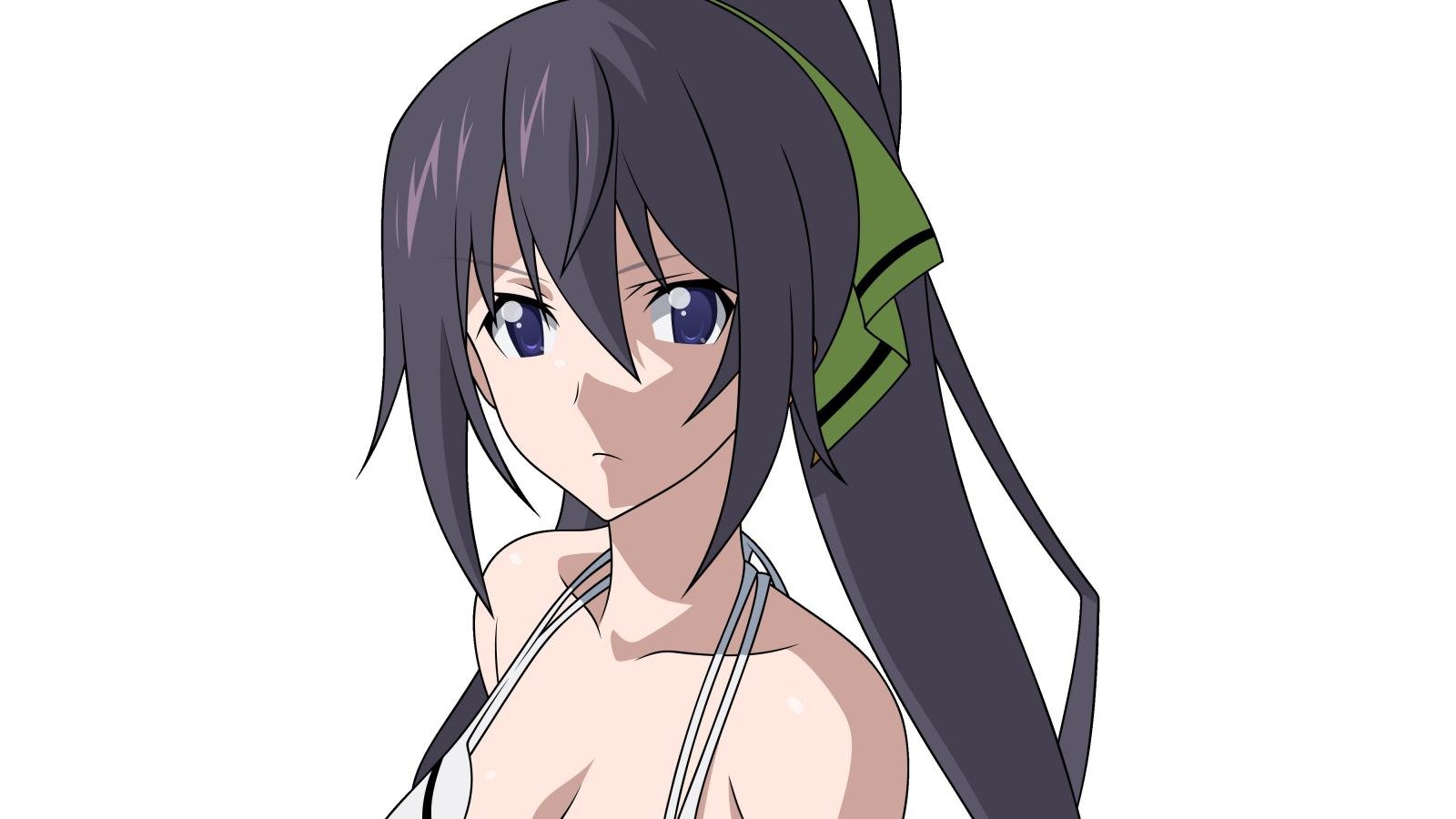 Free download Infinite Stratos wallpaper ID:163160 hd 1600x900 for PC