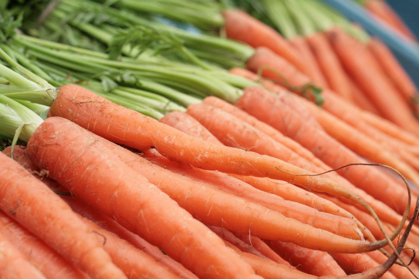 Download hd 1440x960 Carrot computer background ID:89968 for free