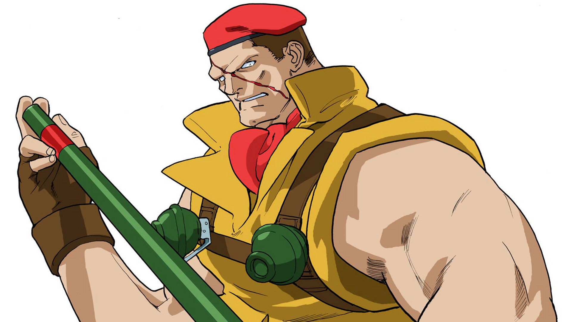 Awesome Street Fighter Alpha 3 free wallpaper ID:141420 for hd 1080p computer
