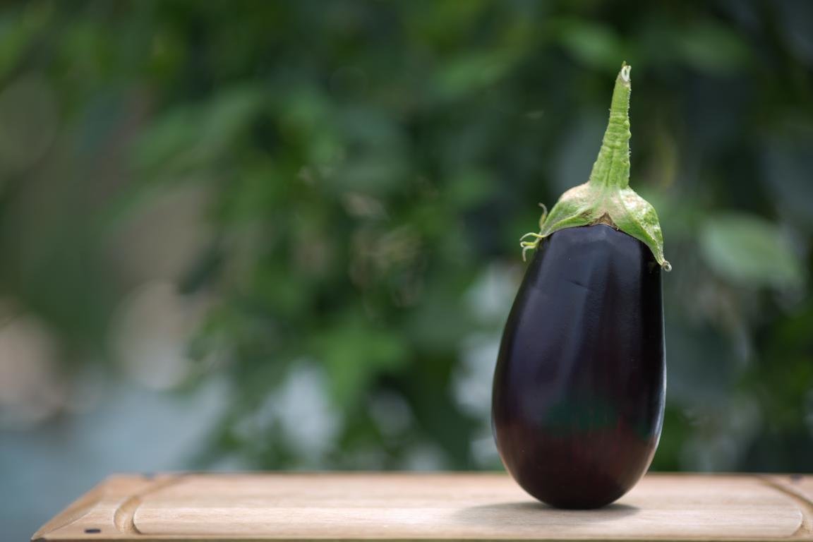 Best Eggplant wallpaper ID:421352 for High Resolution hd 1152x768 computer