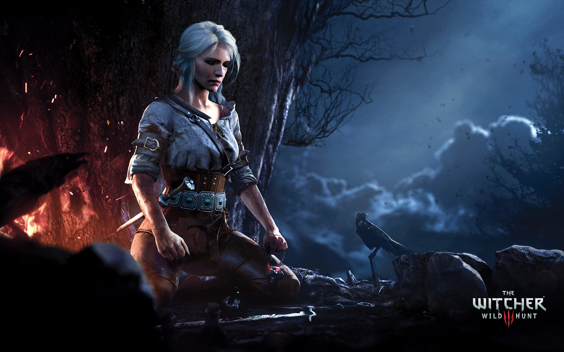 High resolution The Witcher 3: Wild Hunt hd 1920x1200 background ID:17902 for computer