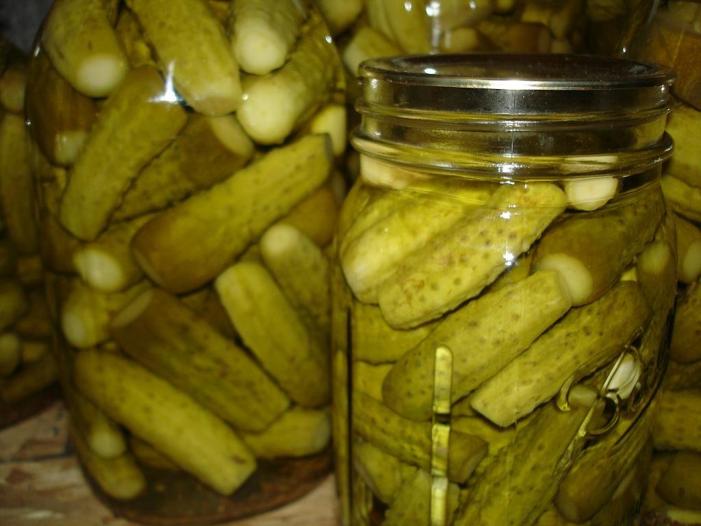 Best Pickles background ID:283317 for High Resolution hd 1024x768 PC