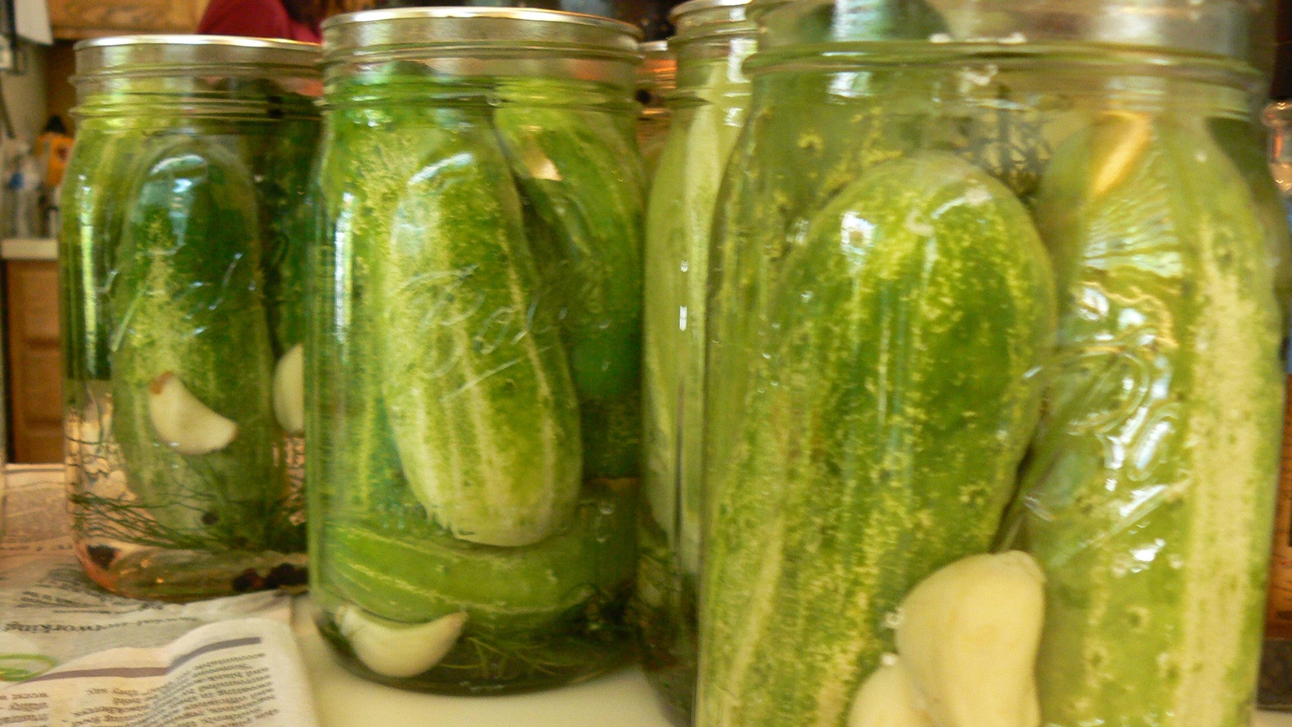 Best Pickles wallpaper ID:283326 for High Resolution hd 2560x1440 PC