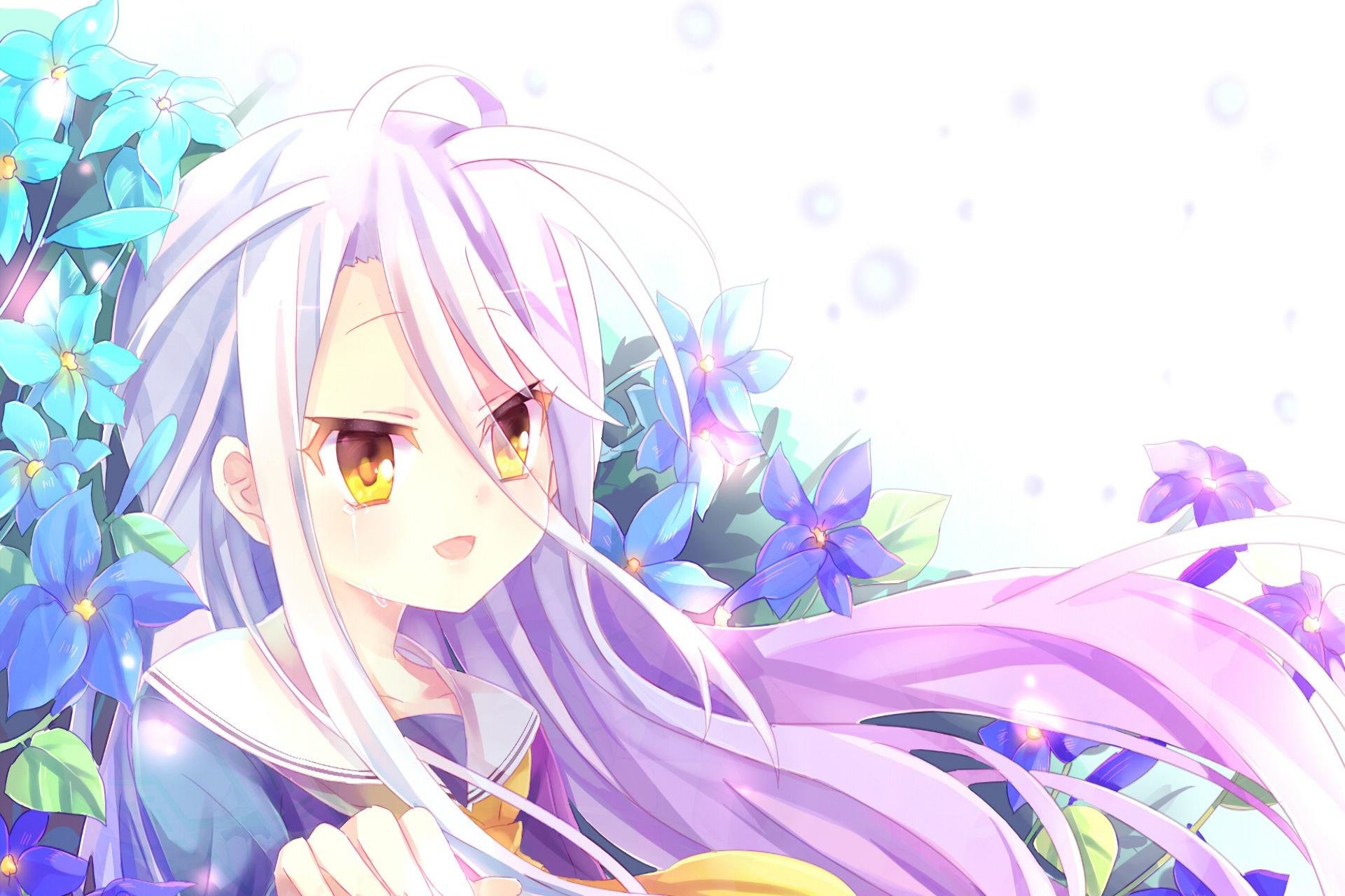 Awesome Shiro (No Game No Life) free background ID:102420 for hd 1920x1280 computer