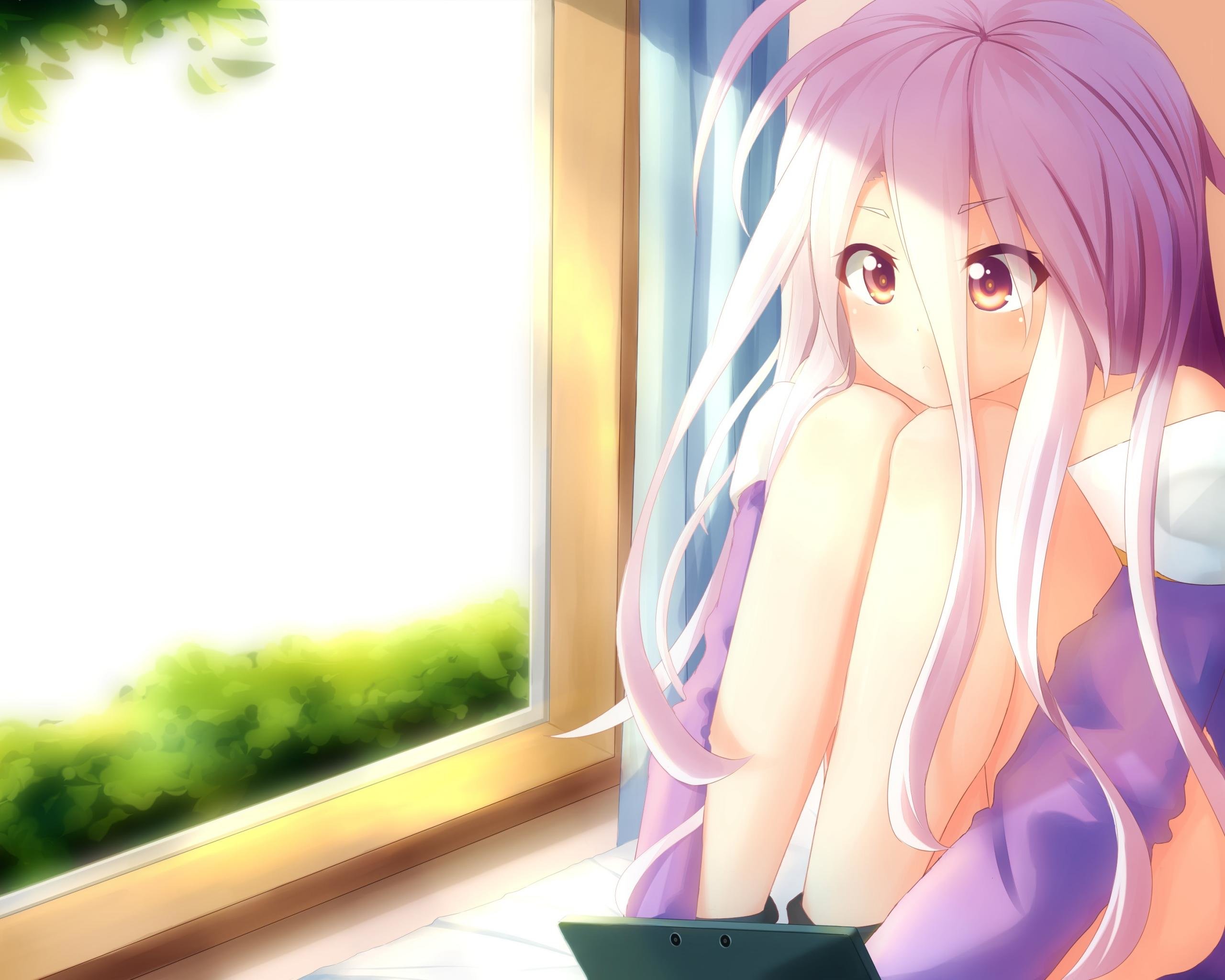 Free download Shiro (No Game No Life) background ID:102390 hd 2560x2048 for computer