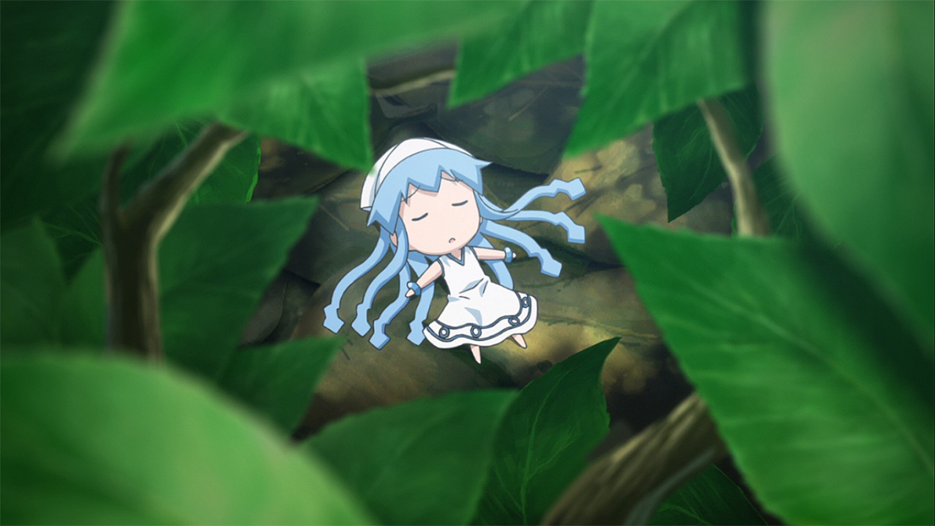 Free Ika Musume high quality background ID:103150 for full hd 1920x1080 desktop