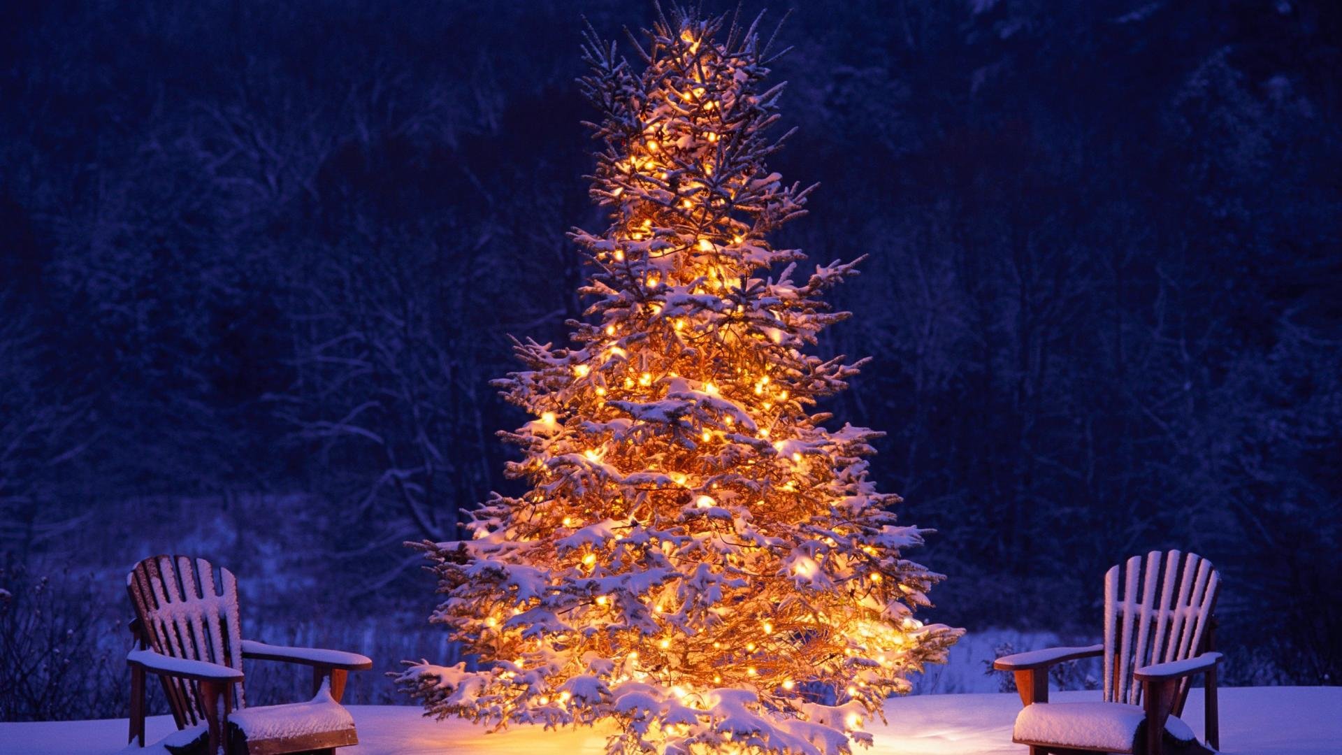 High resolution Christmas Tree 1080p wallpaper ID:436153 for PC